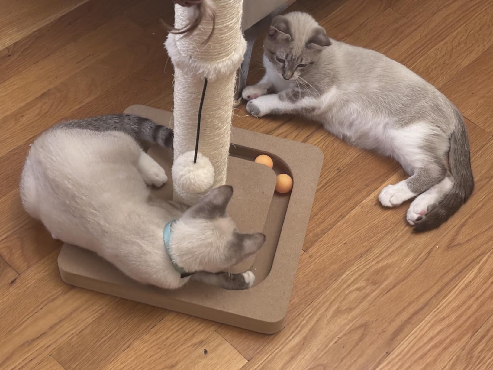 PEEKAB Cat Scratching Post Sisal Scratch Posts for Indoor Kittens and Cats,with Interactive Tracking Toys Suitable for Vertical Scratcher of Small and Medium-Sized Cats 25 Inches Beige customer photo 1