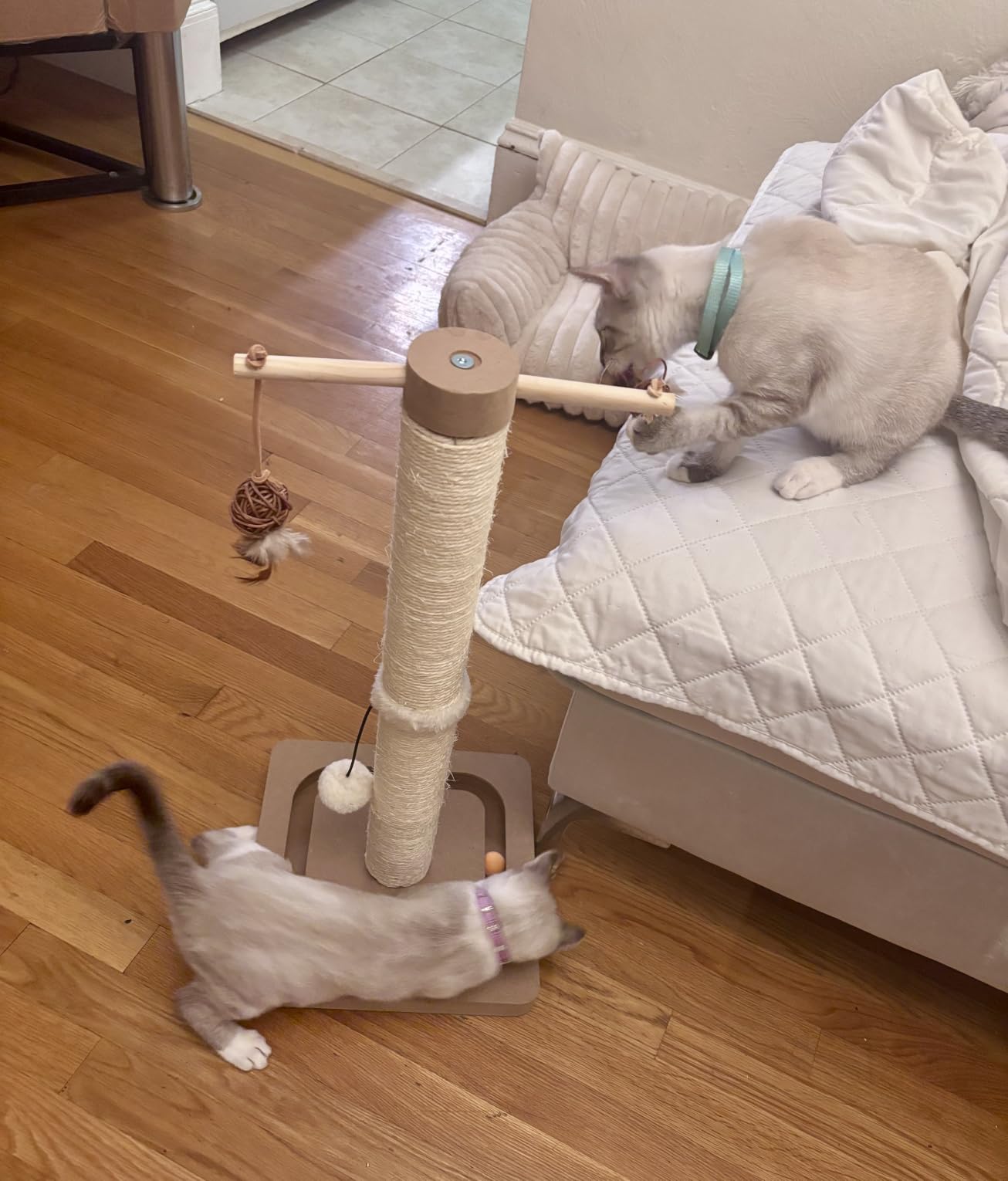 PEEKAB Cat Scratching Post Sisal Scratch Posts for Indoor Kittens and Cats,with Interactive Tracking Toys Suitable for Vertical Scratcher of Small and Medium-Sized Cats 25 Inches Beige customer photo 2