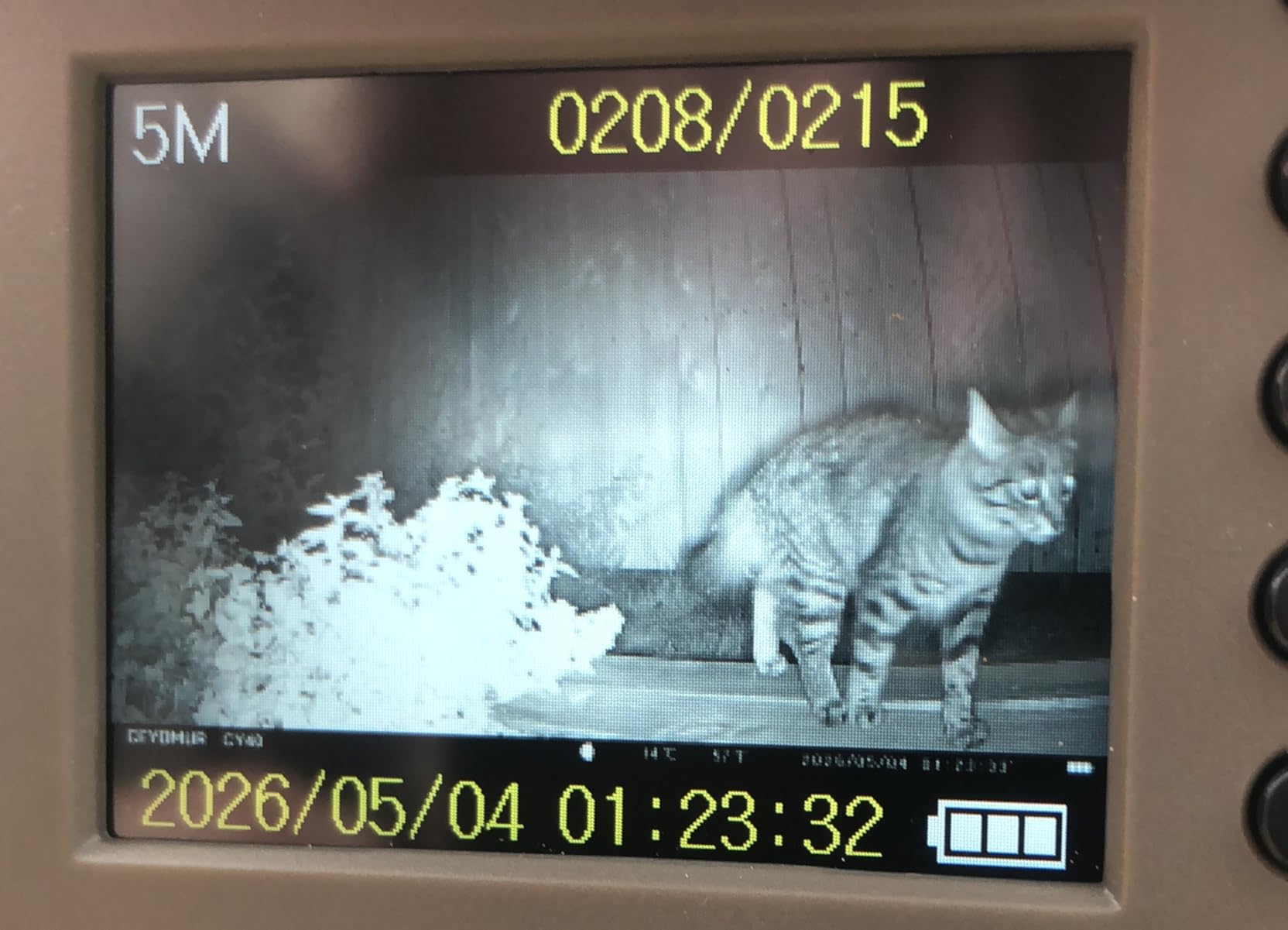 CEYOMUR Trail Camera, 36MP HD Trail Cam with Night Vision Motion Activated customer photo 2