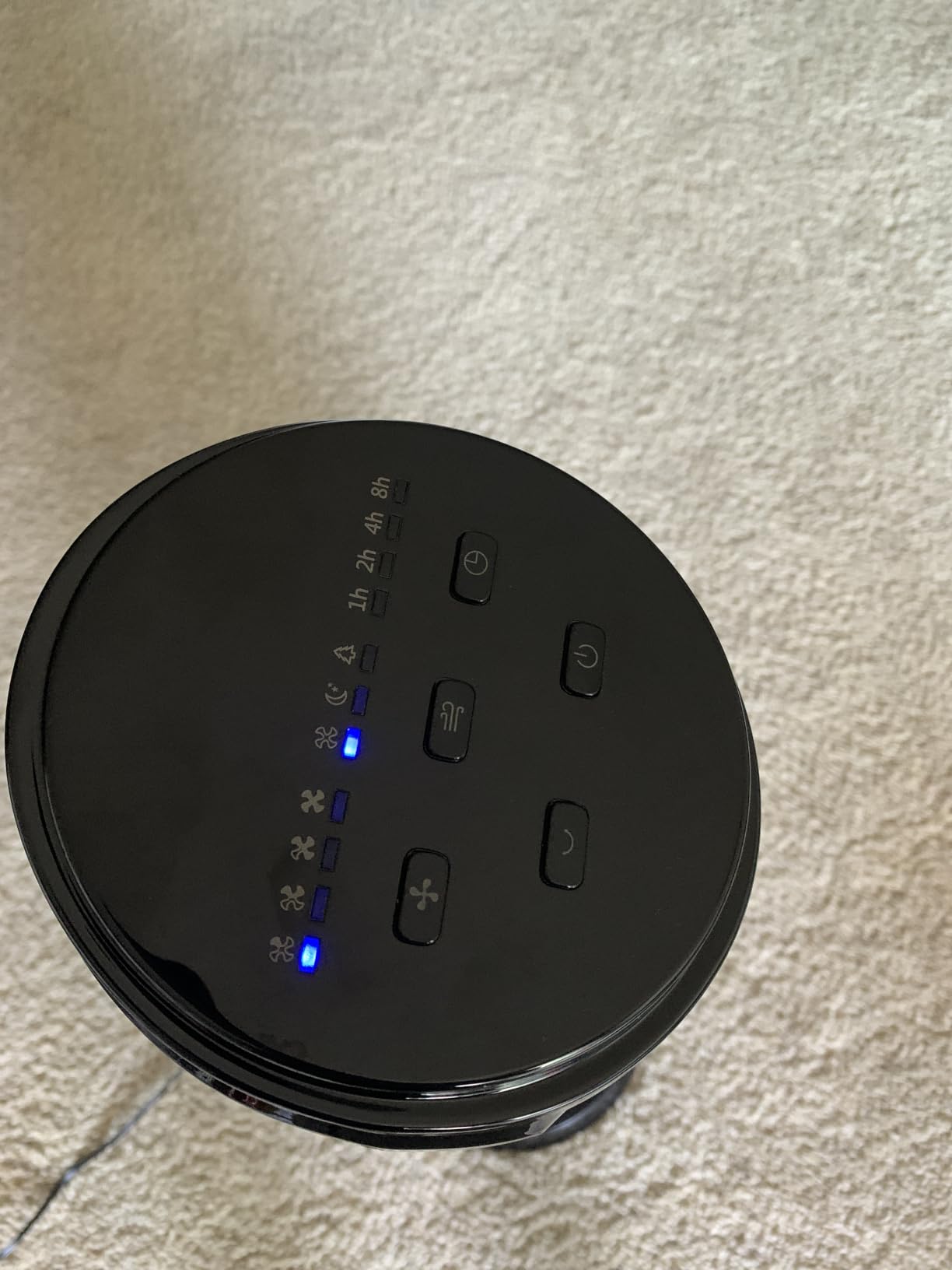 Amazon Basics 40