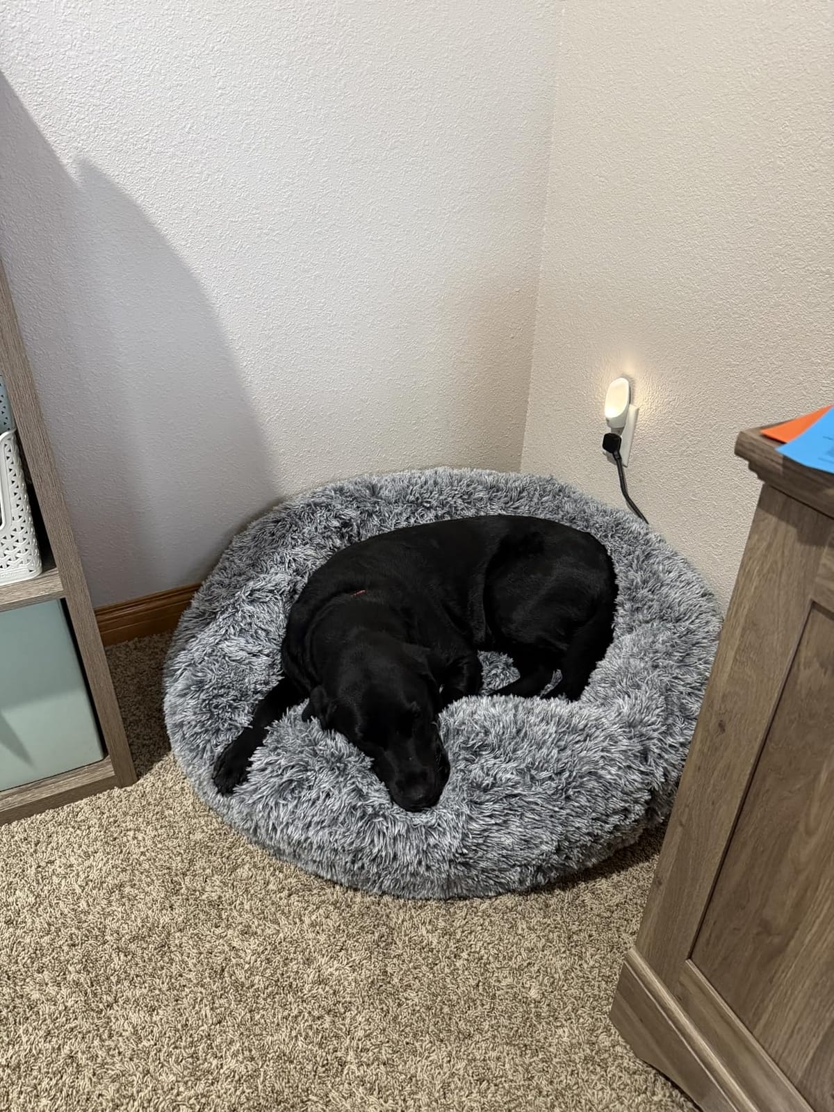 Bedfolks Calming Fluffy Donut Dog Bed for Medium Dogs,Dark Grey, 30