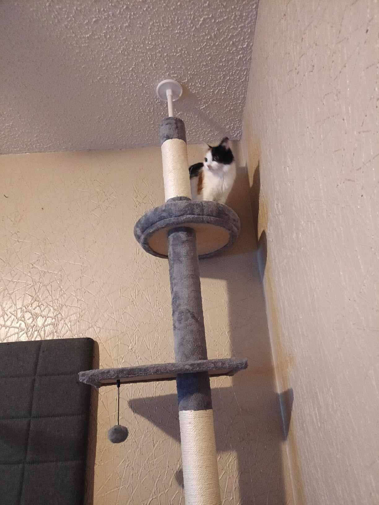 PETEPELA 5-Tier Floor to Ceiling Cat Tree, 95-107In Tall Cat Tower Grey customer photo 1