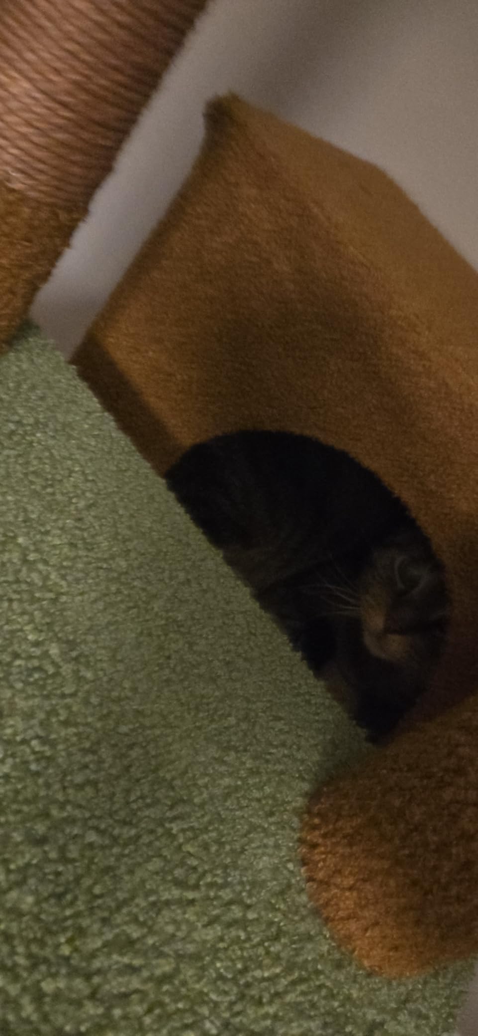 PETEPELA 5-Tier Floor to Ceiling Cat Tree, 95-107In Tall Cat Tower Grey customer photo 2
