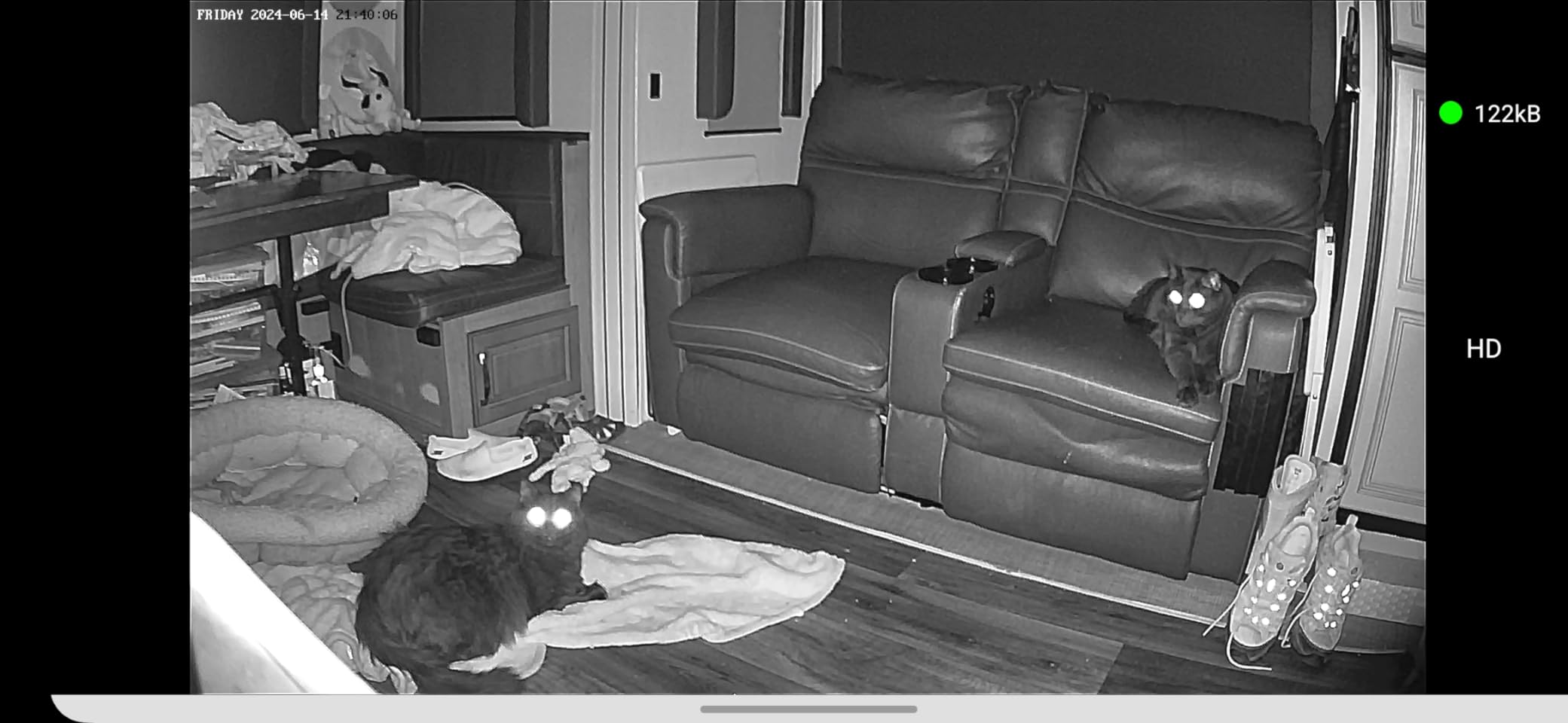 VIMTAG 2.5K 4MP Pan/Tilt Indoor Camera for Pet/Dog/Cat/Baby/Nanny/Home Security with Phone APP, Motion Tracking, Night Vision, 2-Way Audio, AI Detection, 5G/2.4GHz WiFi, Cloud & SD Card, Works w/Alexa customer photo 1
