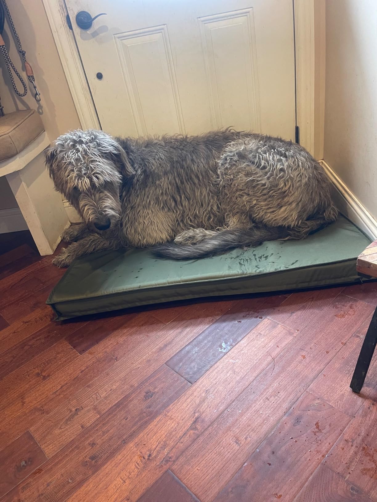 LE SURE Outdoor Waterproof Dog Beds Large Sized,Orthopedic Pet Mat,36x27In customer photo 1