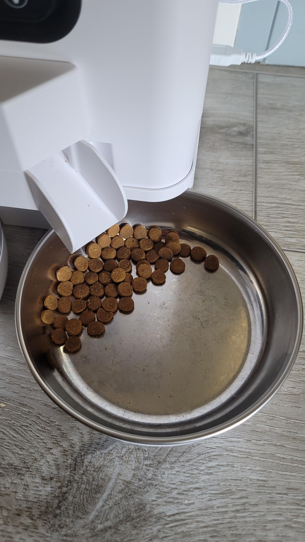 VOLUAS Automatic Cat Feeder for Two Cats with Dual Stainless Bowls, 6L customer photo 1