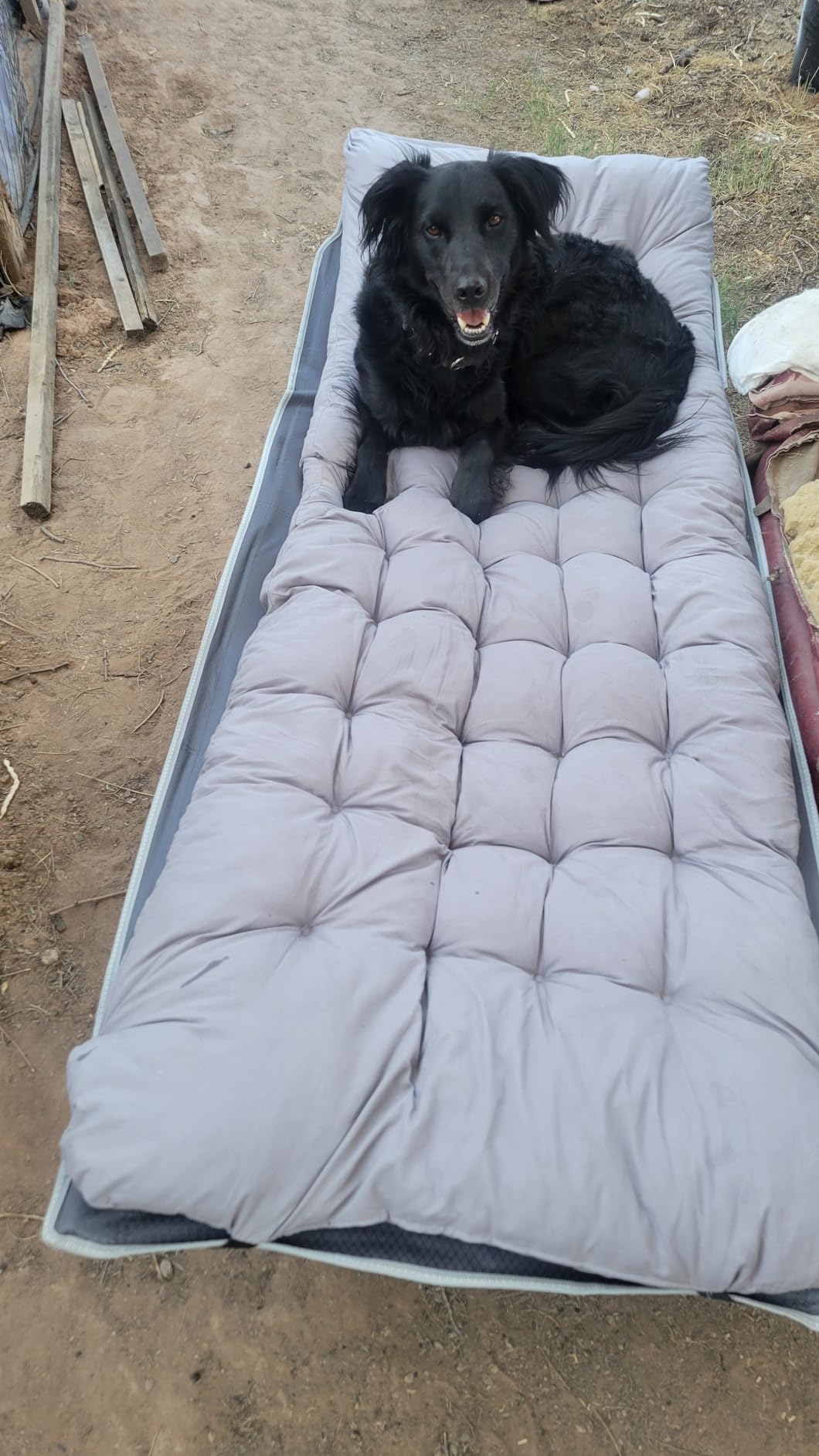 Slendor Folding Camping Cot with Mattress, Portable Sleeping Cot Max.500lbs customer photo 2