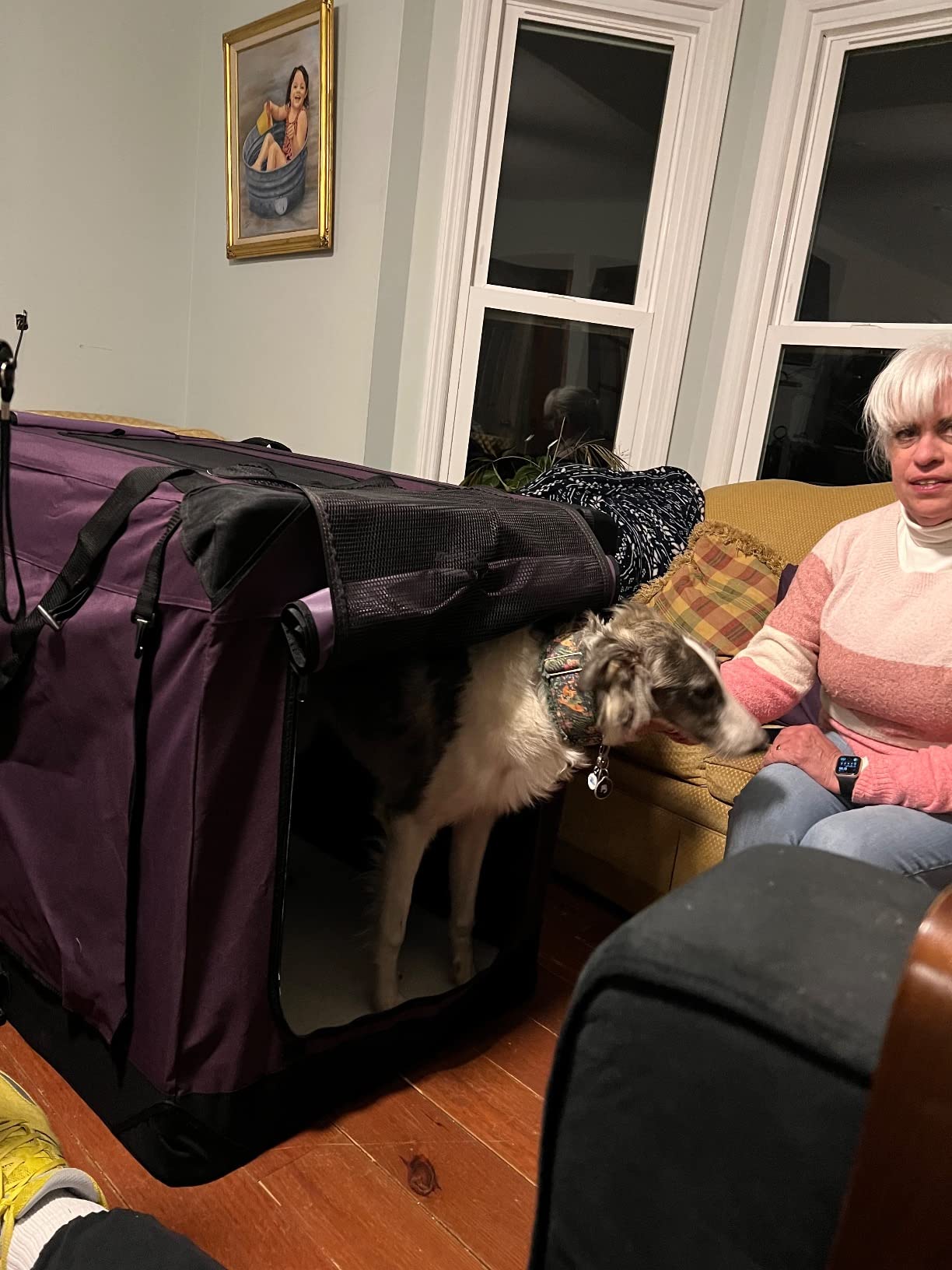 EliteField 4-Door Folding Soft Dog Crate with Curtains (2-Year Warranty) customer photo 1