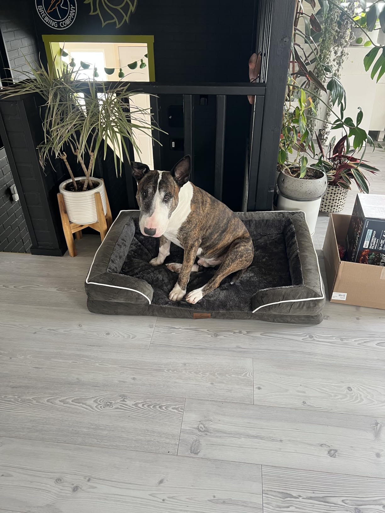 Comfort Expression Waterproof Orthopedic Dog Bed for Extra Large Dogs customer photo 1