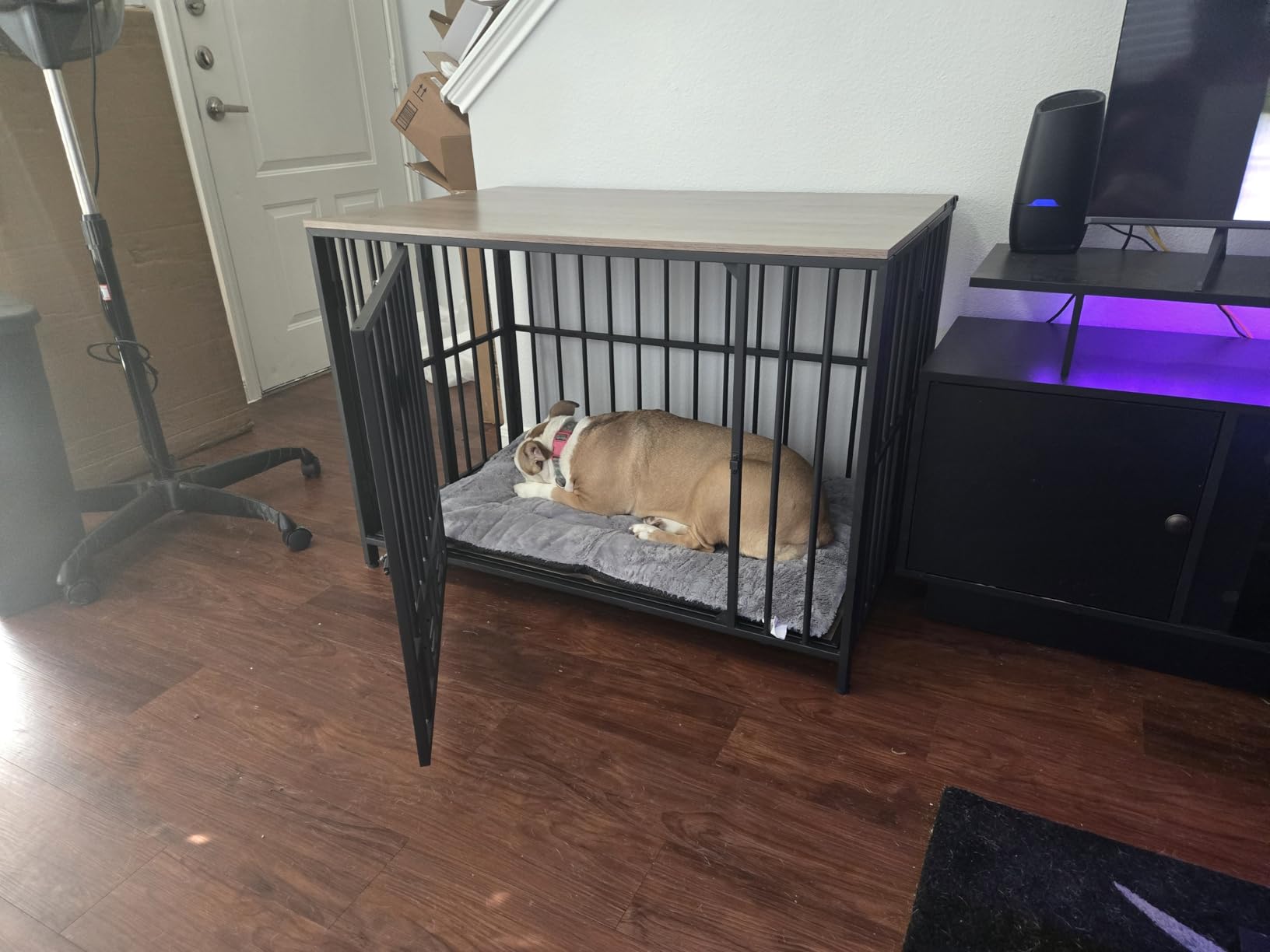 Dog Crate Pad Washable Dog Bed for Crate Extra Large Cozy Mat 48-Inch Gray customer photo 1
