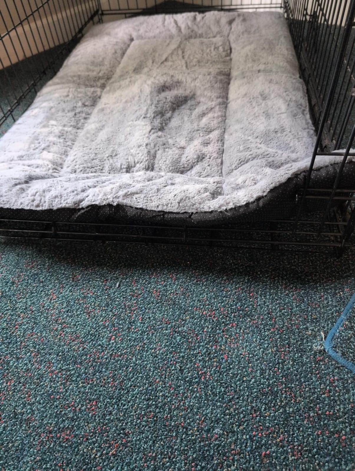 Dog Crate Pad Washable Dog Bed for Crate Medium Cozy Mat 36-Inch Gray customer photo 1