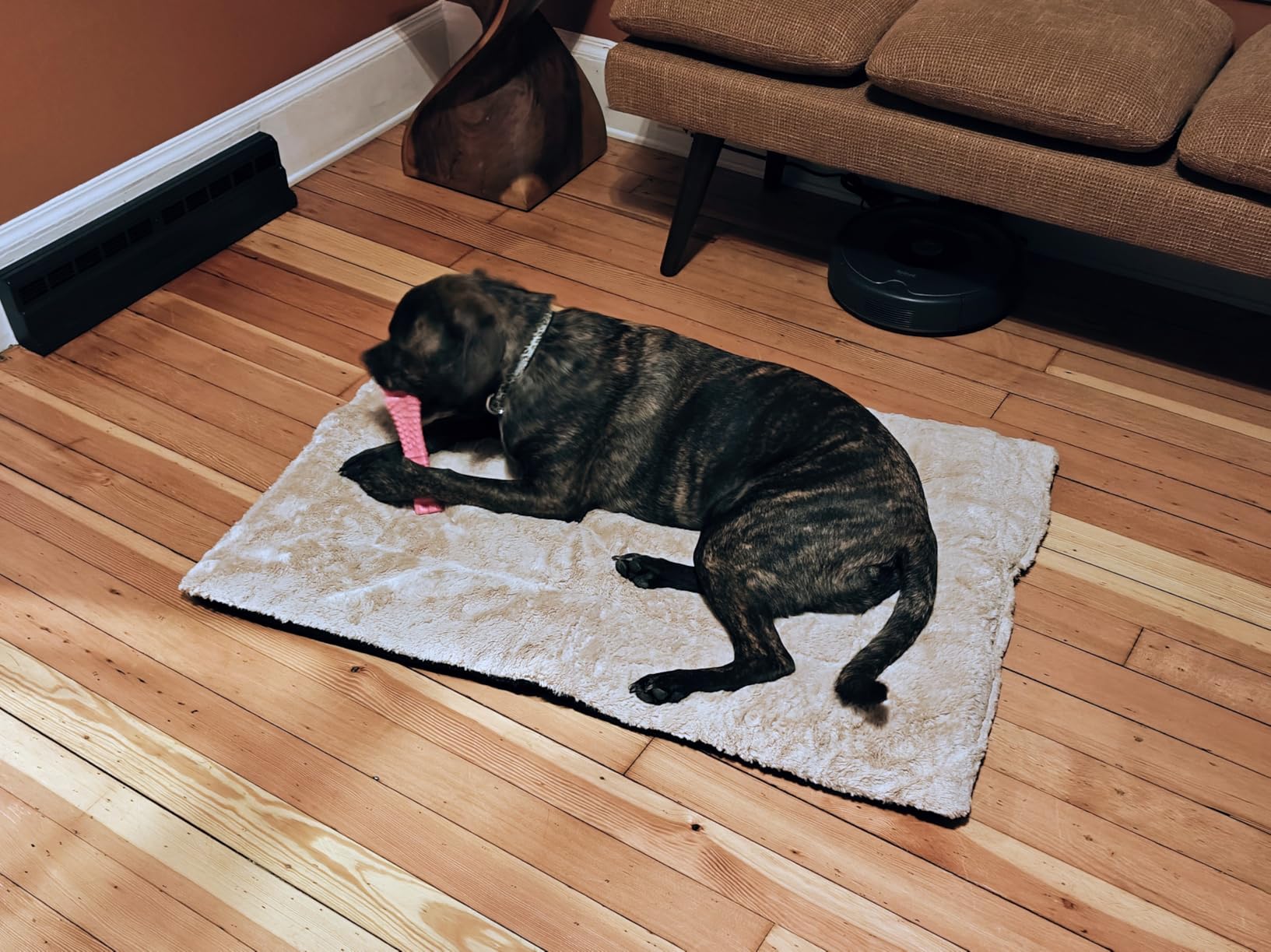 Dog Crate Pad Washable Dog Bed for Crate Medium Cozy Mat 36-Inch Gray customer photo 2