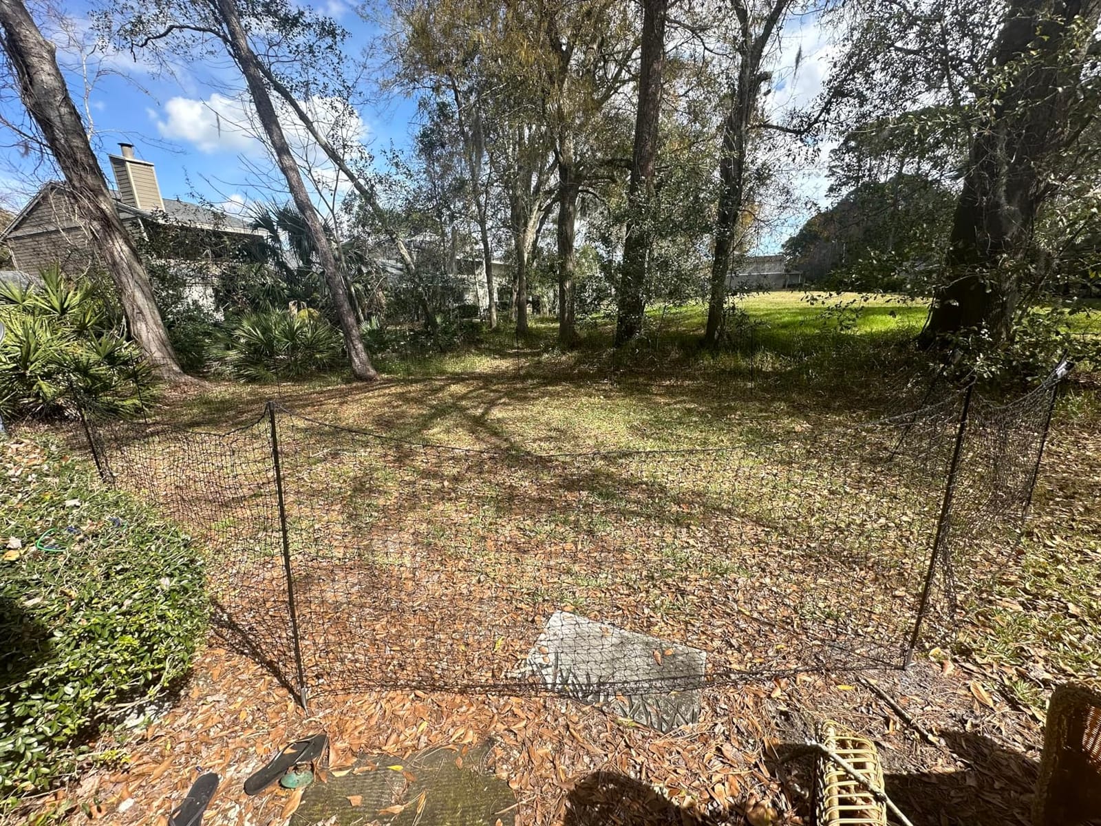 RentACoop Non-Electric Chicken Fence Netting, 48