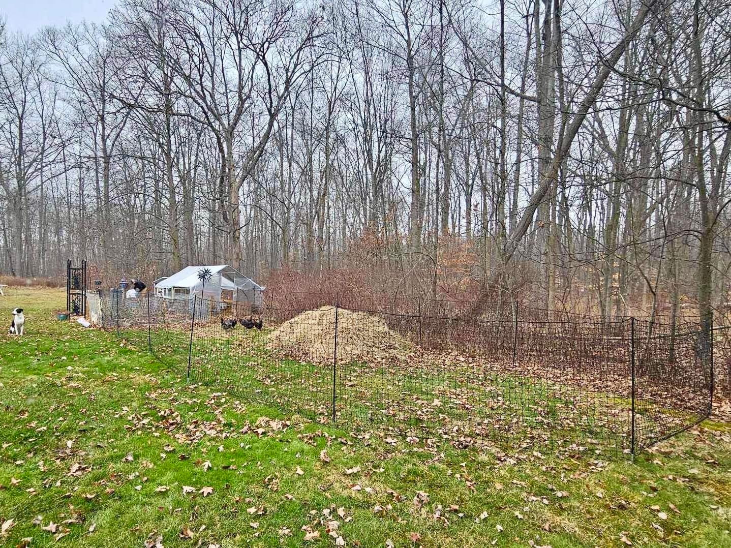 RentACoop Non-Electric Chicken Fence Netting, 48