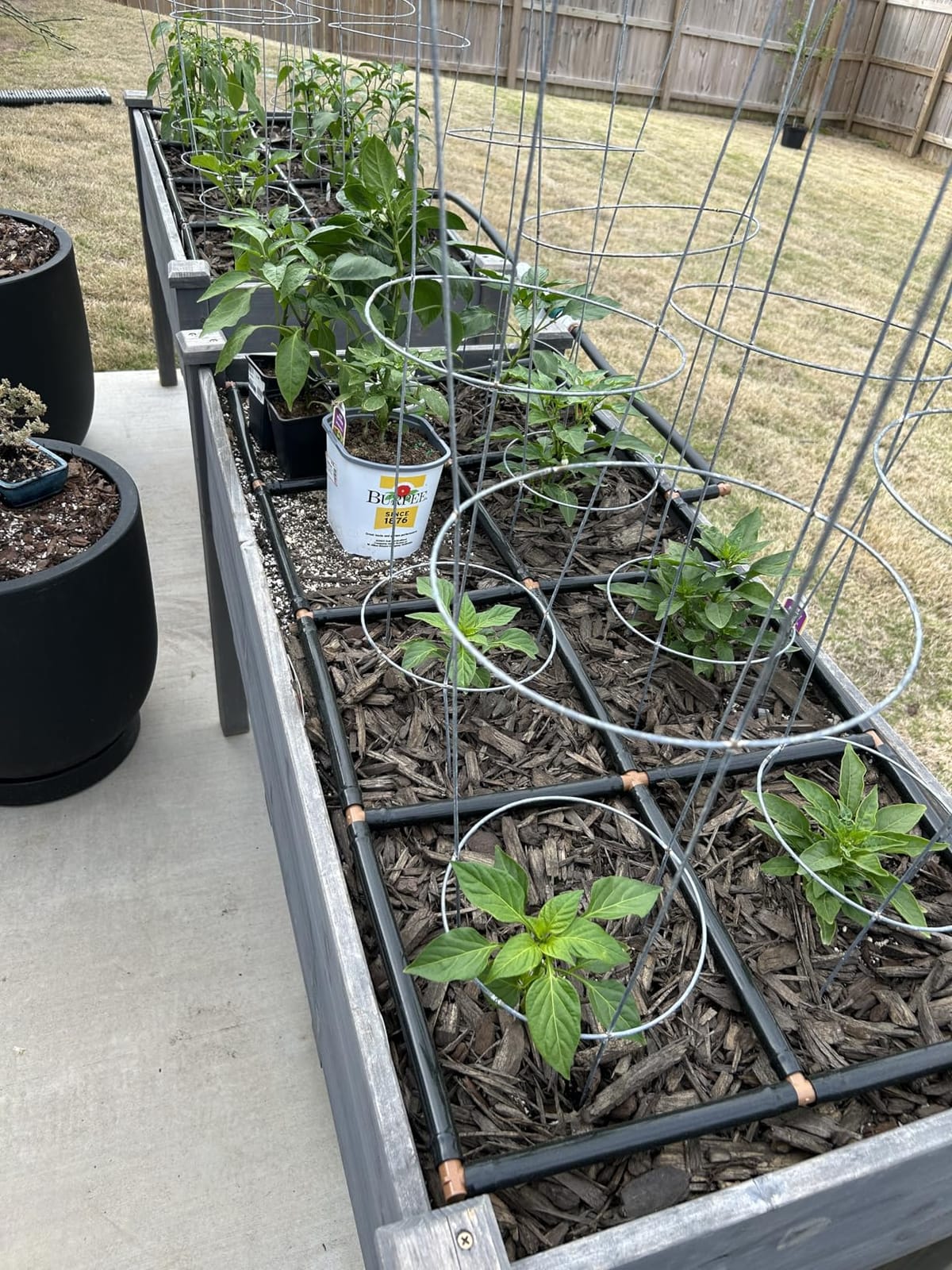 Garden Grid 3x6 | Raised Garden Irrigation System | Prebuilt, No Dry Spots customer photo 1