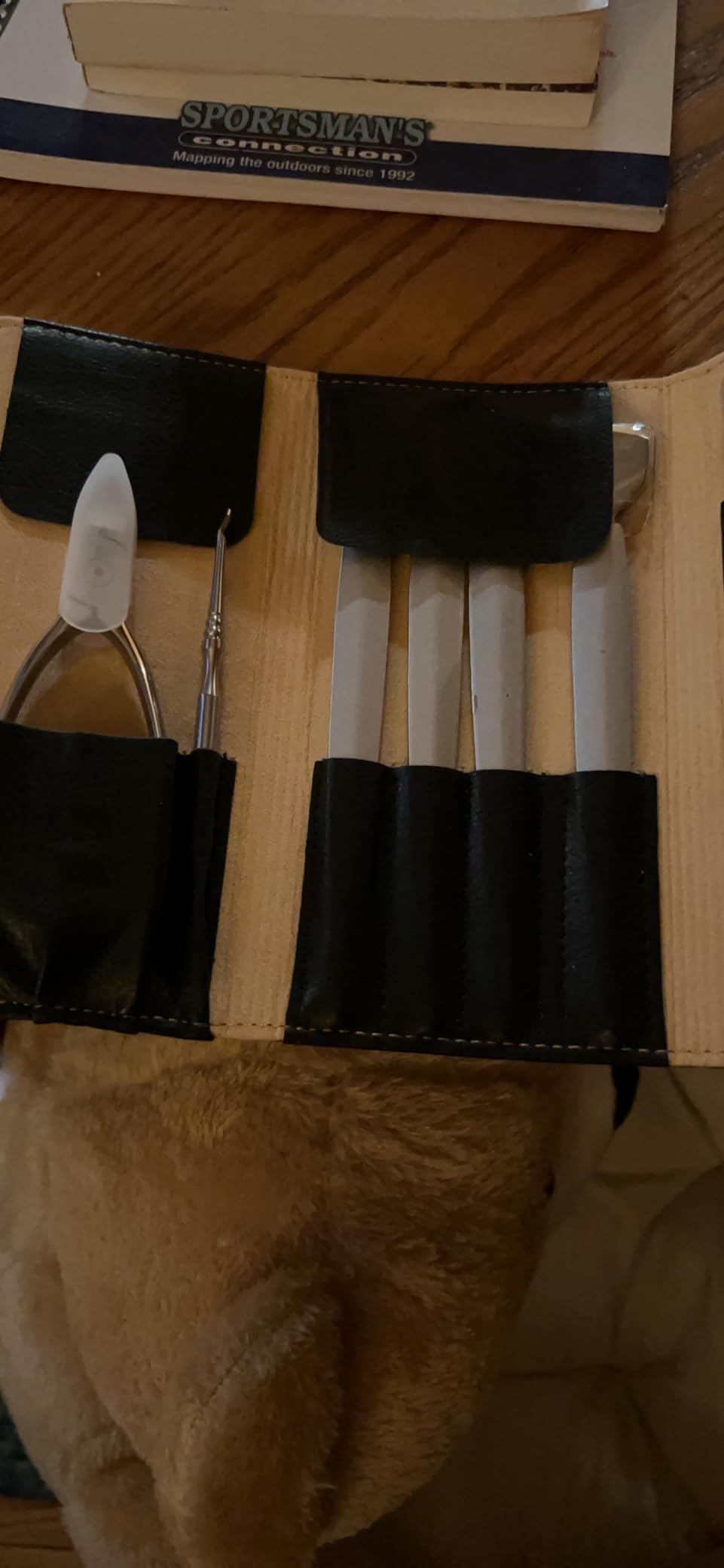 FERYES Pedicure Knife Ingrown Toenail Kit, 7 PCS Professional Pedicure Tool Toenail Grooming Kit, Top Notch Foot Blade, Super Sharp Toenail Clippers (Leather case included) customer photo 2