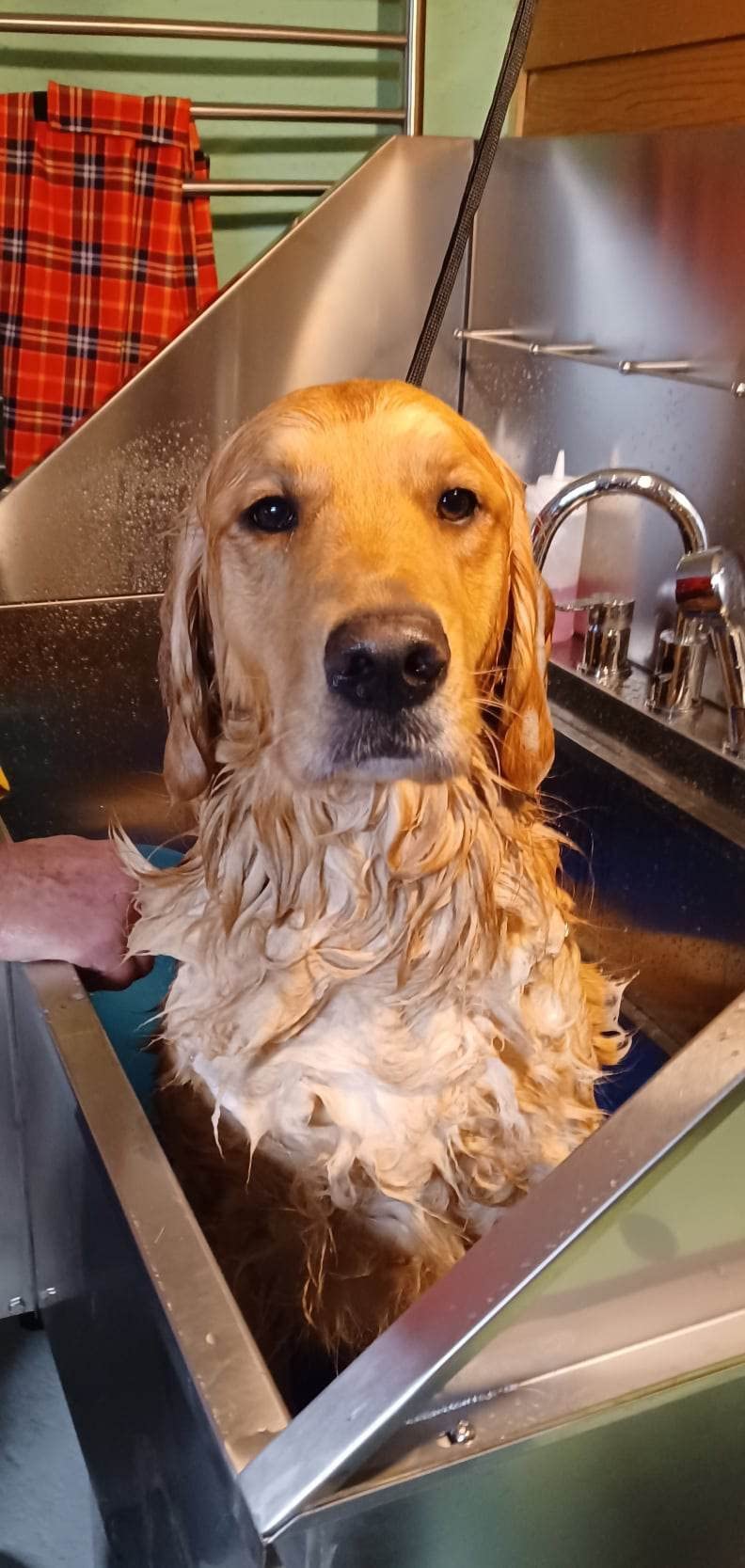 KANIS Professional Dog Washing Station 304 Stainless Steel Pet Wash Sink customer photo 1