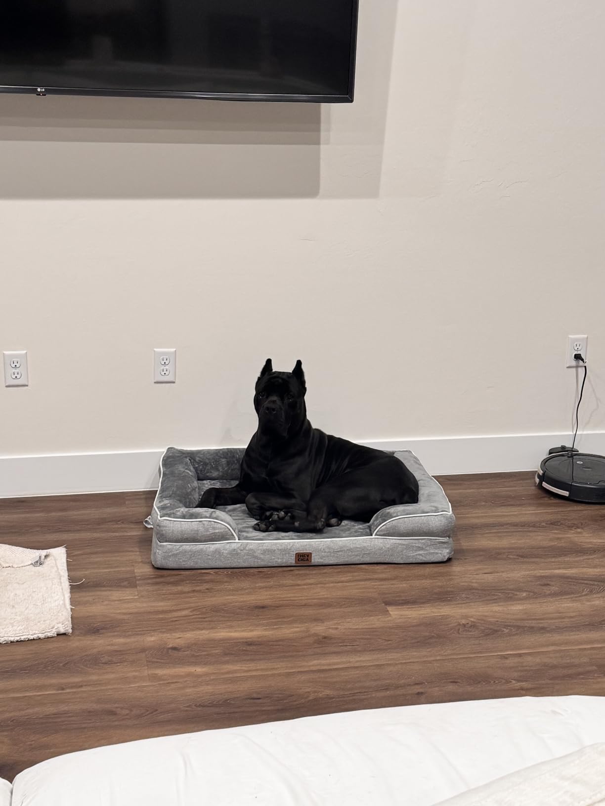 EHEYCIGA Orthopedic Dog Beds Large Sized Dog, Waterproof Memory Foam Pet Bed with Sides, Non-Slip Bottom Large Pet Bed with Washable Removable Cover, Grey customer photo 1