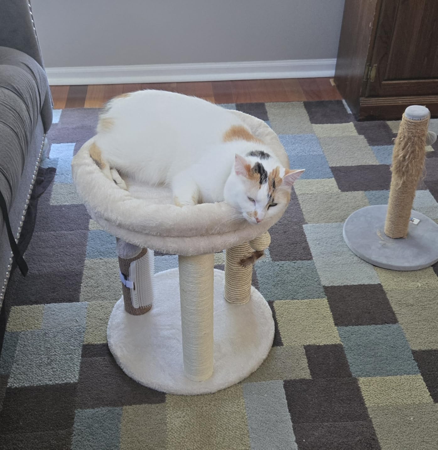 MECOOL 4in1 Small Cat Tree,Scratching Post with Tower Soft Bed, Sisal Carpet Jute Posts with Three Hanging Ball Toys and Massage Brush for Indoor Cats and Kittens customer photo 2