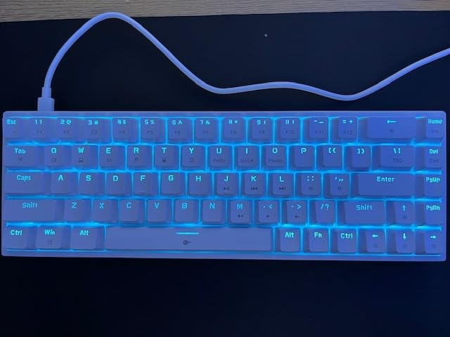DIERYA T68SE 60% Gaming Mechanical Keyboard,Ultra Compact Mini 68 Key with Red Switches Wired Keyboard,Anti-Ghosting Keys, for Windows Laptops and PC Gamers,White customer photo 1