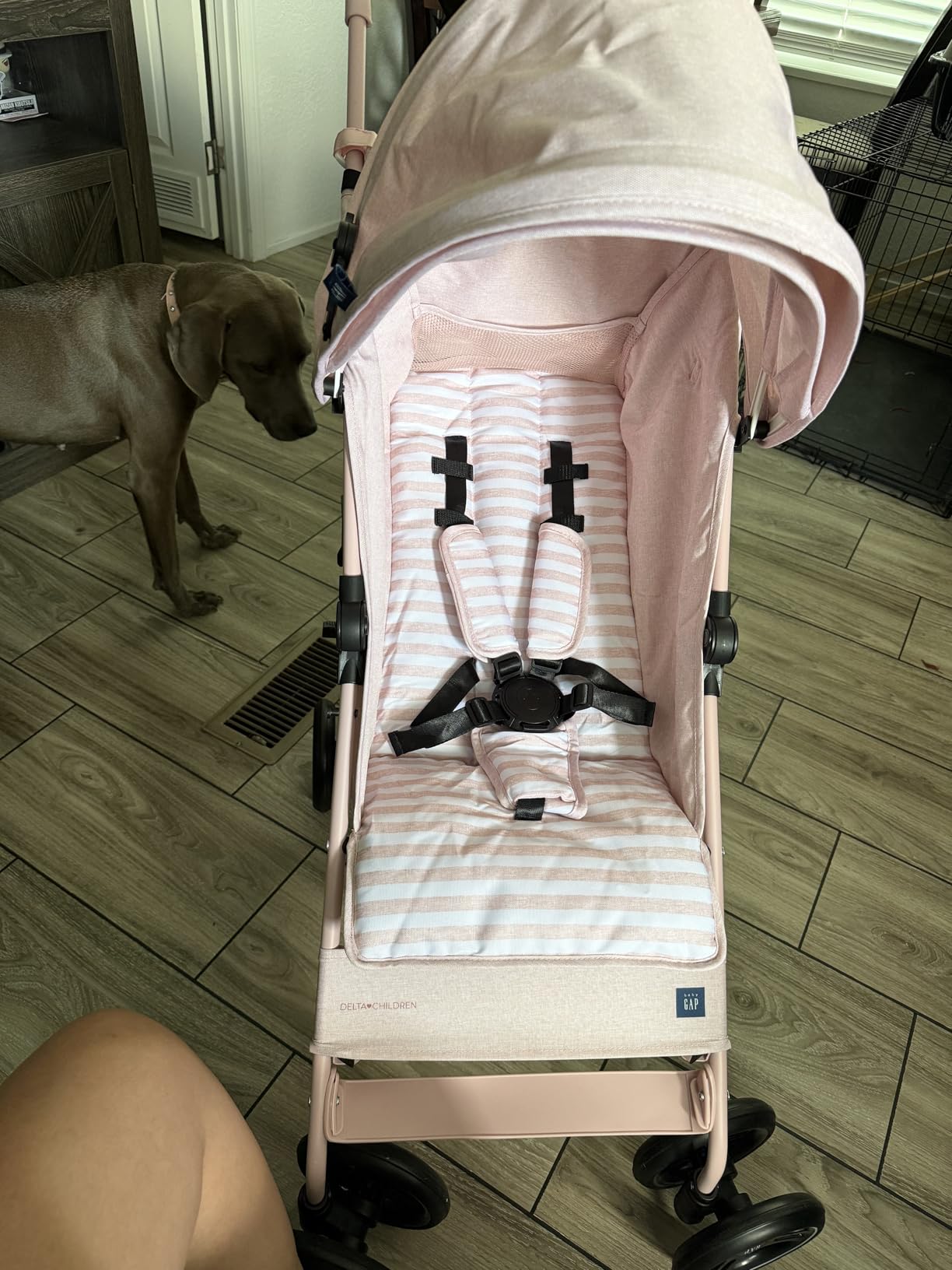babyGap Classic Stroller - Lightweight Stroller with Recline, Compact Fold & Removable Parent Organizer - Made with Sustainable Materials, Grey Stripes customer photo 2