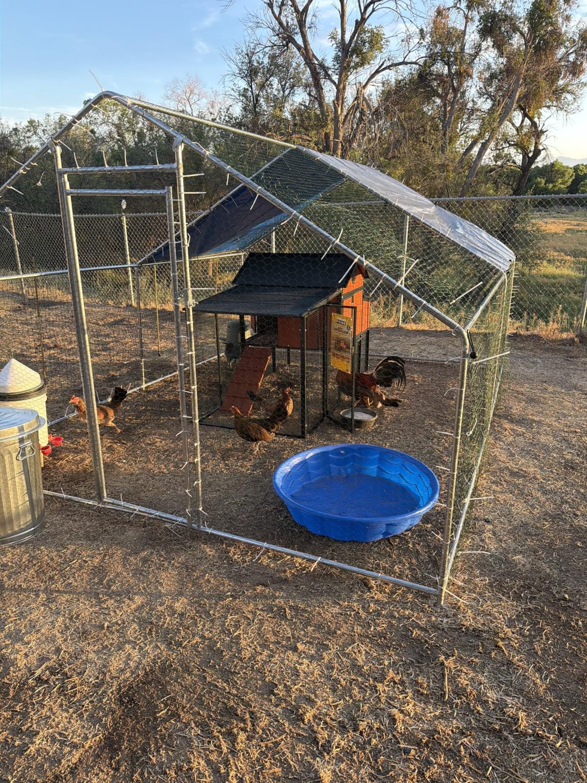 HITTITE Large Metal Chicken Coop with Run, 19.19 x 9.84 x 6.56 ft Walk in Poultry Cage Chicken Run Pen, Outdoor Chicken Runs for Yard with Waterproof & Anti-UV Cover customer photo 1