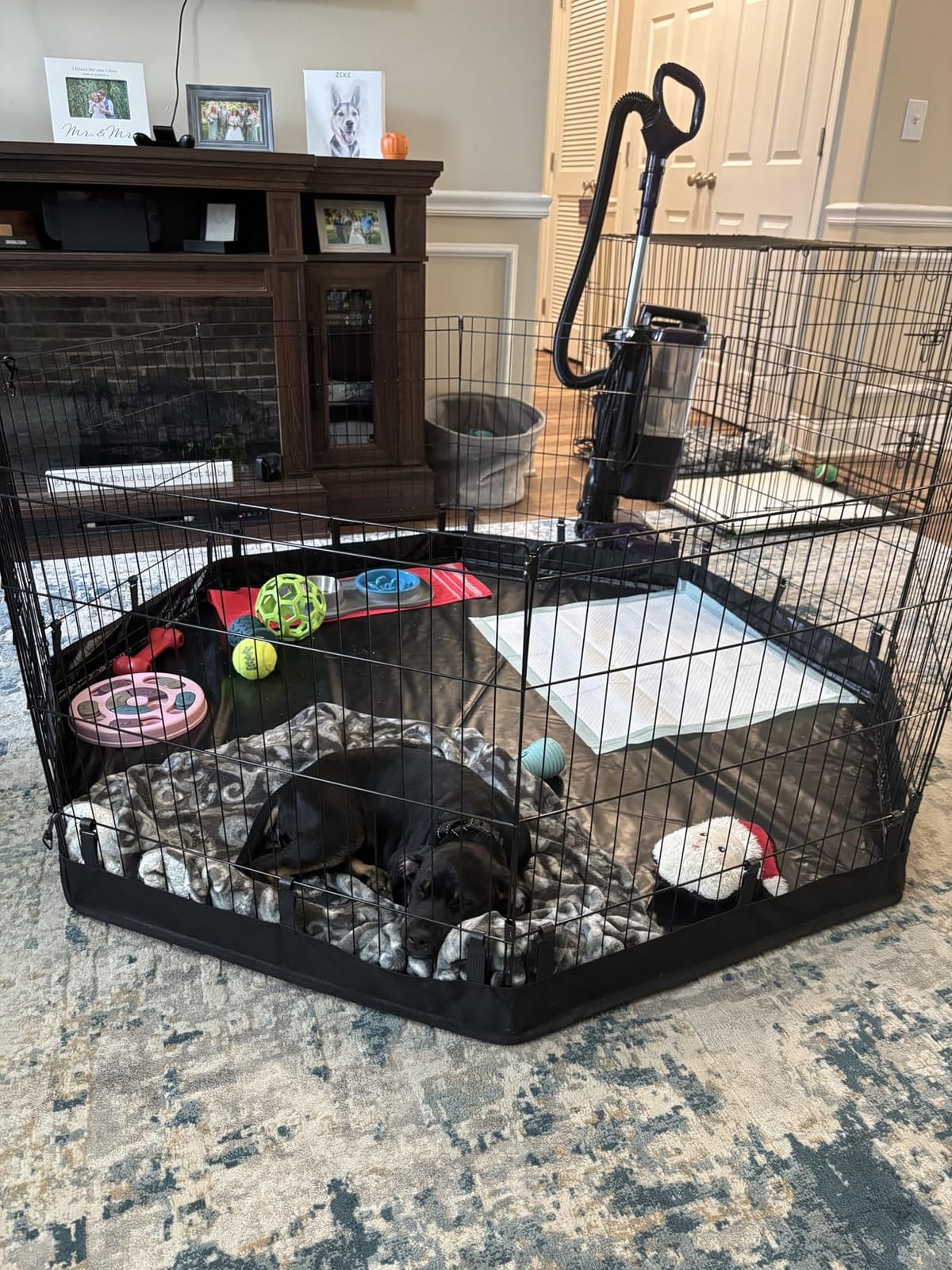 PJYuCien Puppy Playpen with Bottom Pad and Door, 8 Panels 24