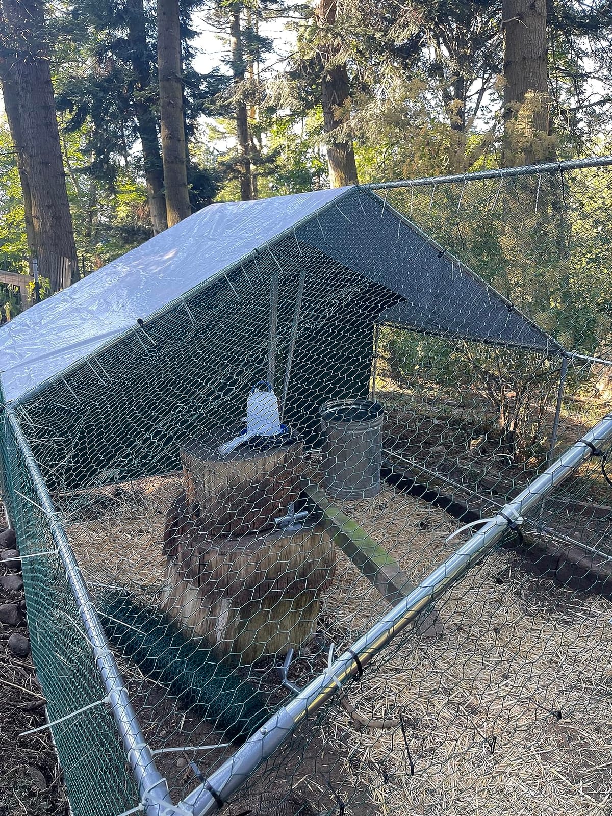 NUGRIART Large Metal Chicken Coop Walk-in Poultry Cage Hen Duck Run House with Waterproof & Anti-UV Cover Galvanized Rabbits Habitat Spire Shaped Cage for Outdoor Yard Farm Use customer photo 1