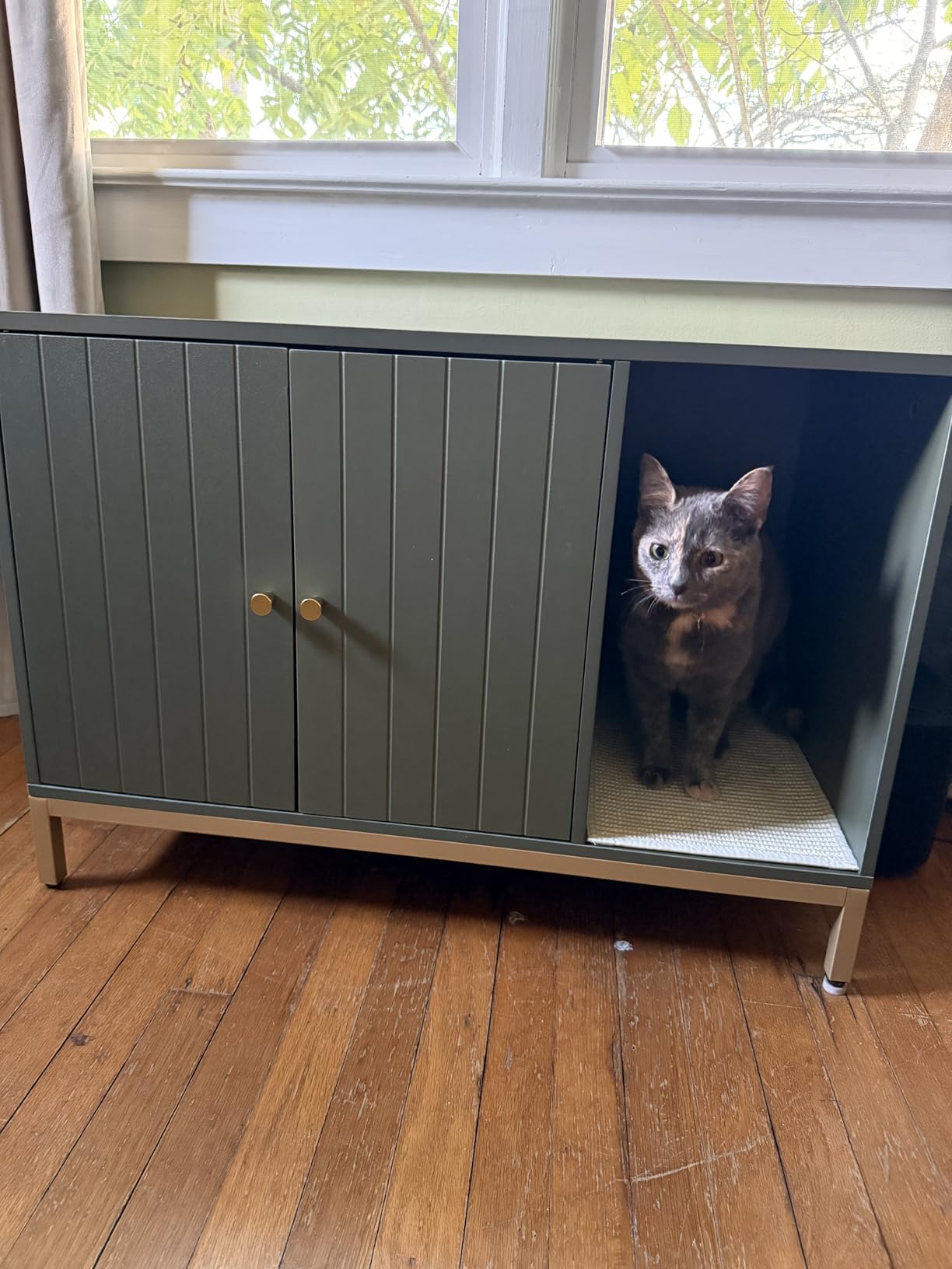 Feandrea Cat Litter Box Enclosure, with Scratching Mat, Tall Legs customer photo 1
