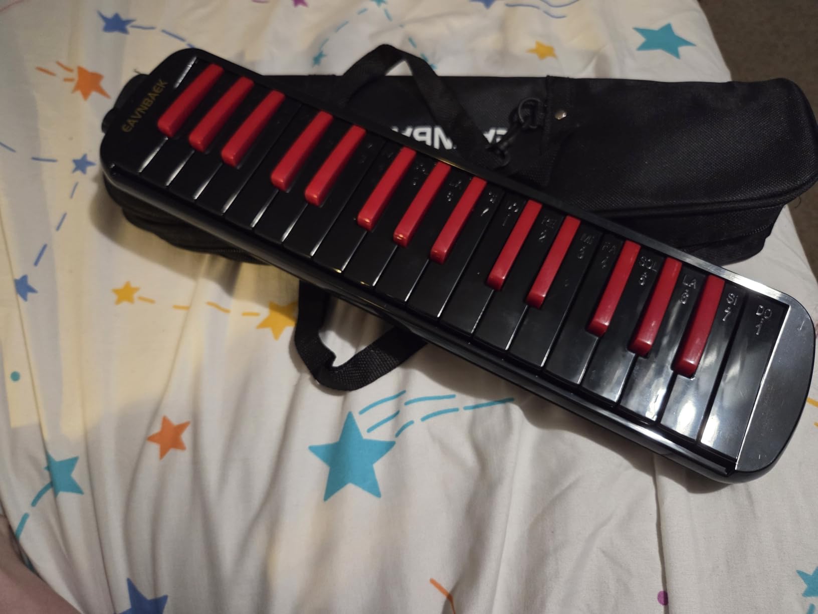 Eavnbaek 32 Keys Melodica Instrument, Soprano Melodica Air Piano Keyboard Pianica with 2 Soft Long Tubes, 2 Short Mouthpieces and Carrying Bag (Black) customer photo 1