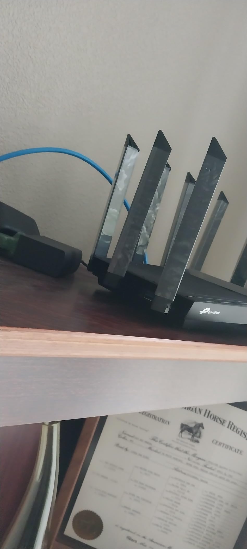 TP-Link AX6000 Wi-Fi 6 Dual Band Router (Archer AX80) customer photo 1