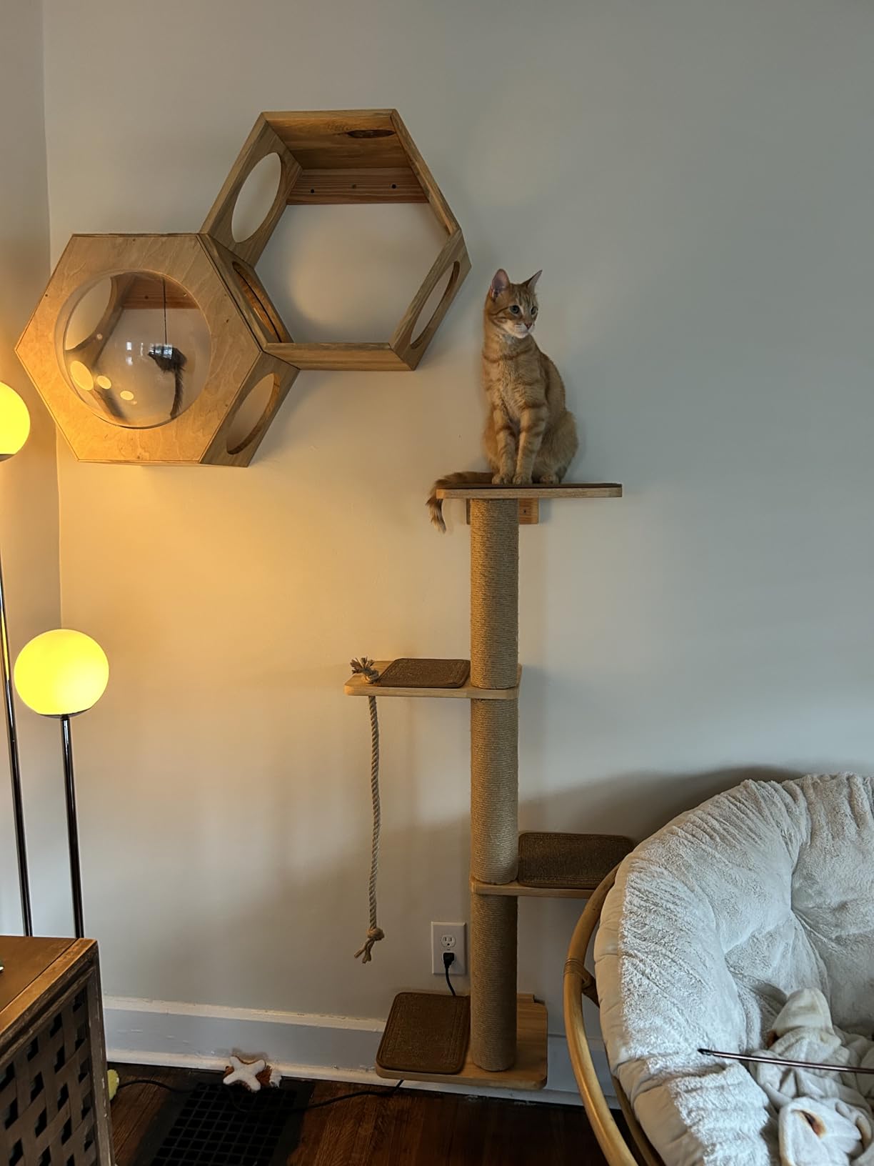 FUKUMARU Cat Scratching Activity Tree Wall Mounted customer photo 2