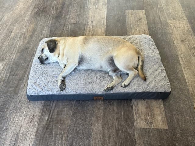 Sunheir Washable Orthopedic Large Dog Bed with Removable Cover, Pet Bed Mat customer photo 1