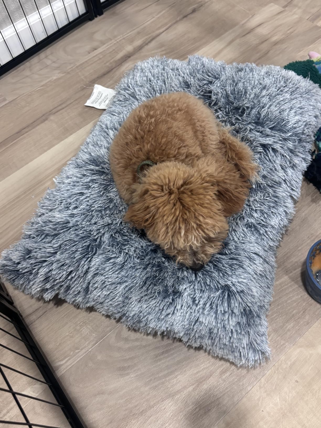 EHEYCIGA Fluffy Dog Crate Bed, Plush Extra Large Dog Pillow, Grey customer photo 2