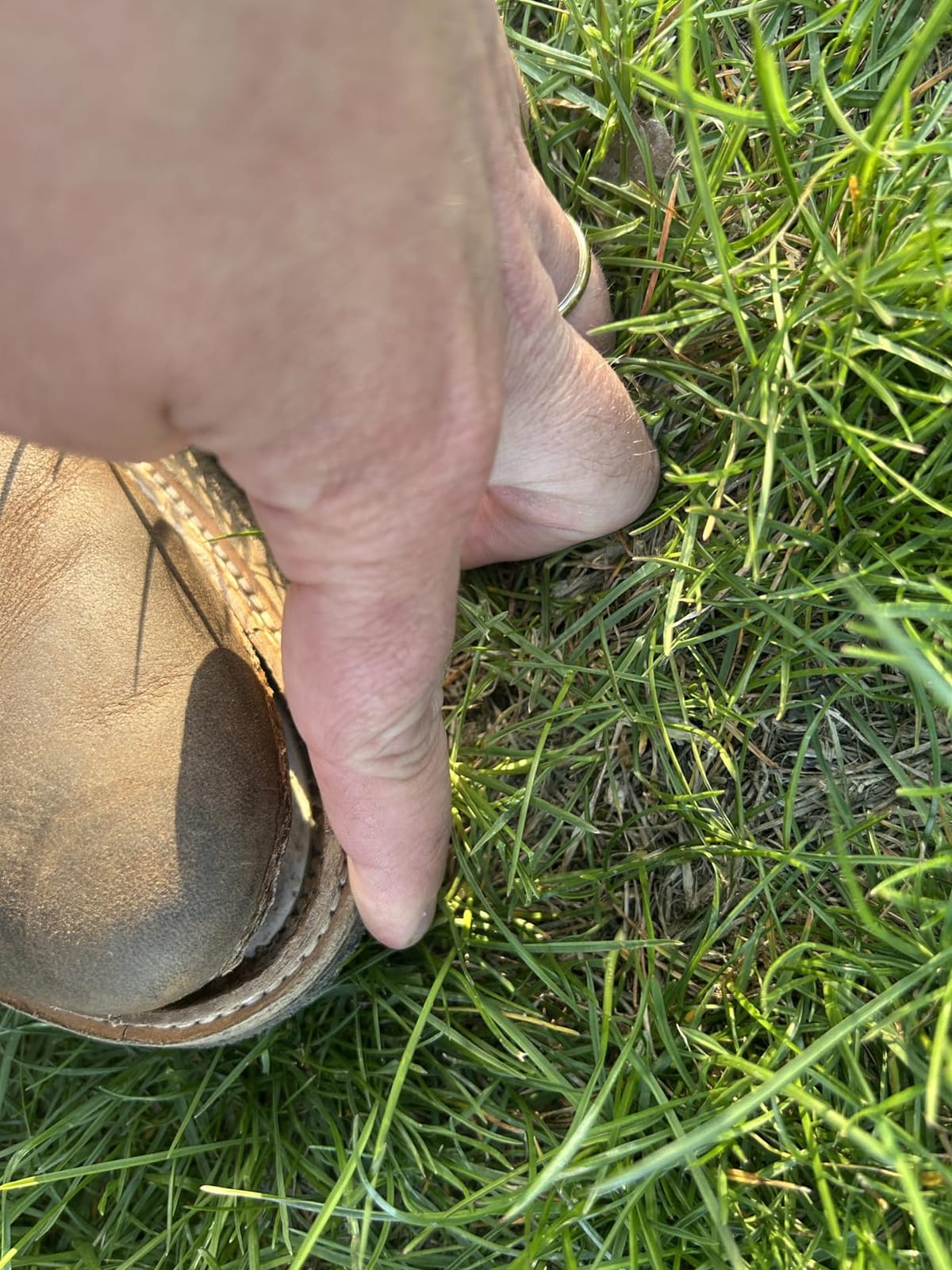 Clarks mens Clarkdale Easy customer photo 1