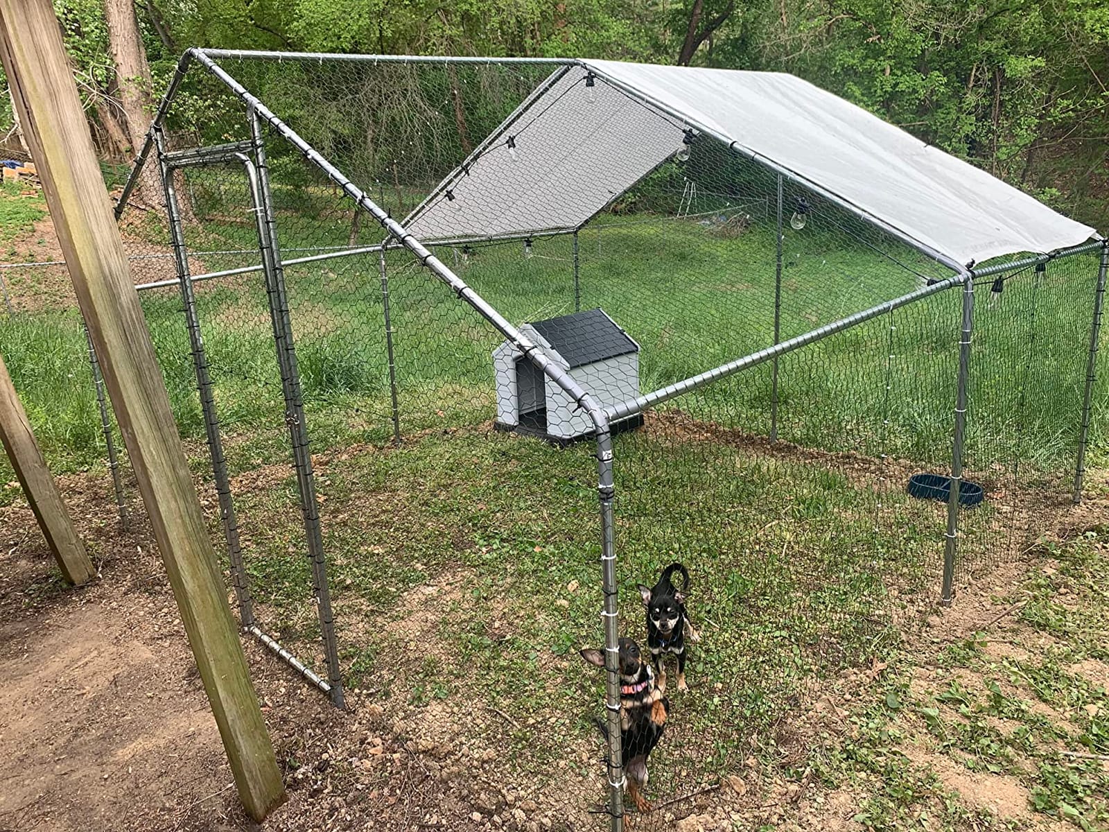 Large Metal Chicken Coop 10x10 Walk-in for 20 Chickens, Predator-Proof customer photo 2
