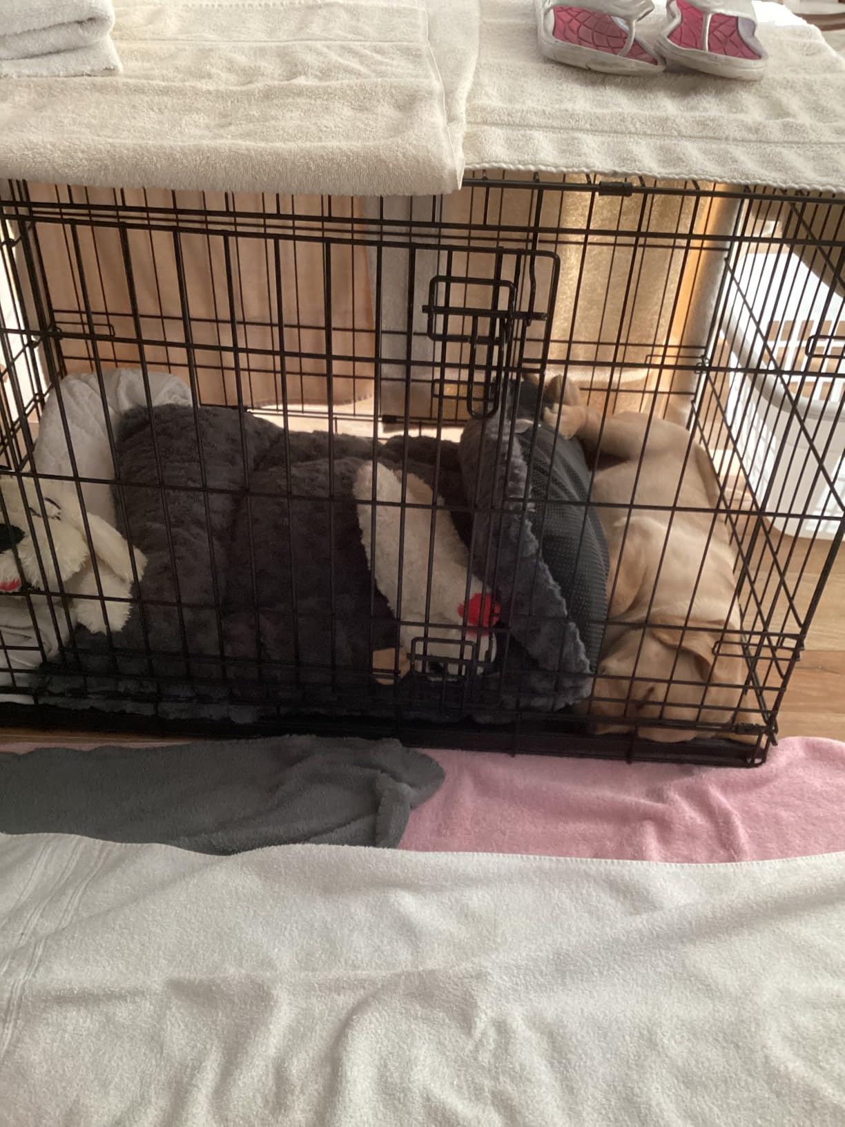Exsnugy Washable Dog Bed Mat Medium Size Fluffy Pet Crate Pad 36x23 customer photo 1