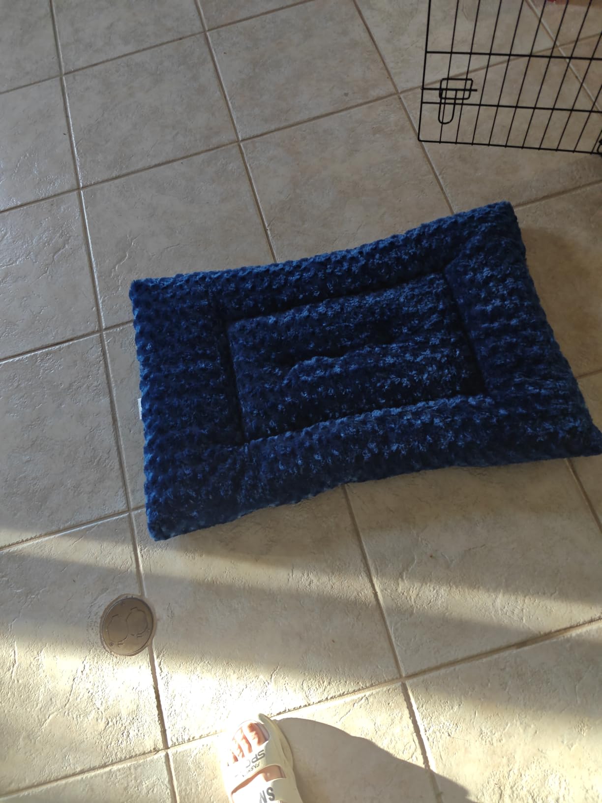 Exsnugy Washable Dog Bed Mat Medium Size Fluffy Pet Crate Pad 36x23 customer photo 2