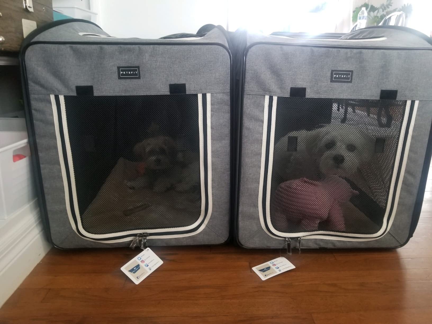 Petsfit Collapsible Dog Crate,Travel Crate for Cat/Puppy,Pop Up Small Pet Cage for Indoor/Outdoor,Lightweight Soft Dog Kennel Carrier for Small Dogs,Grey customer photo 1