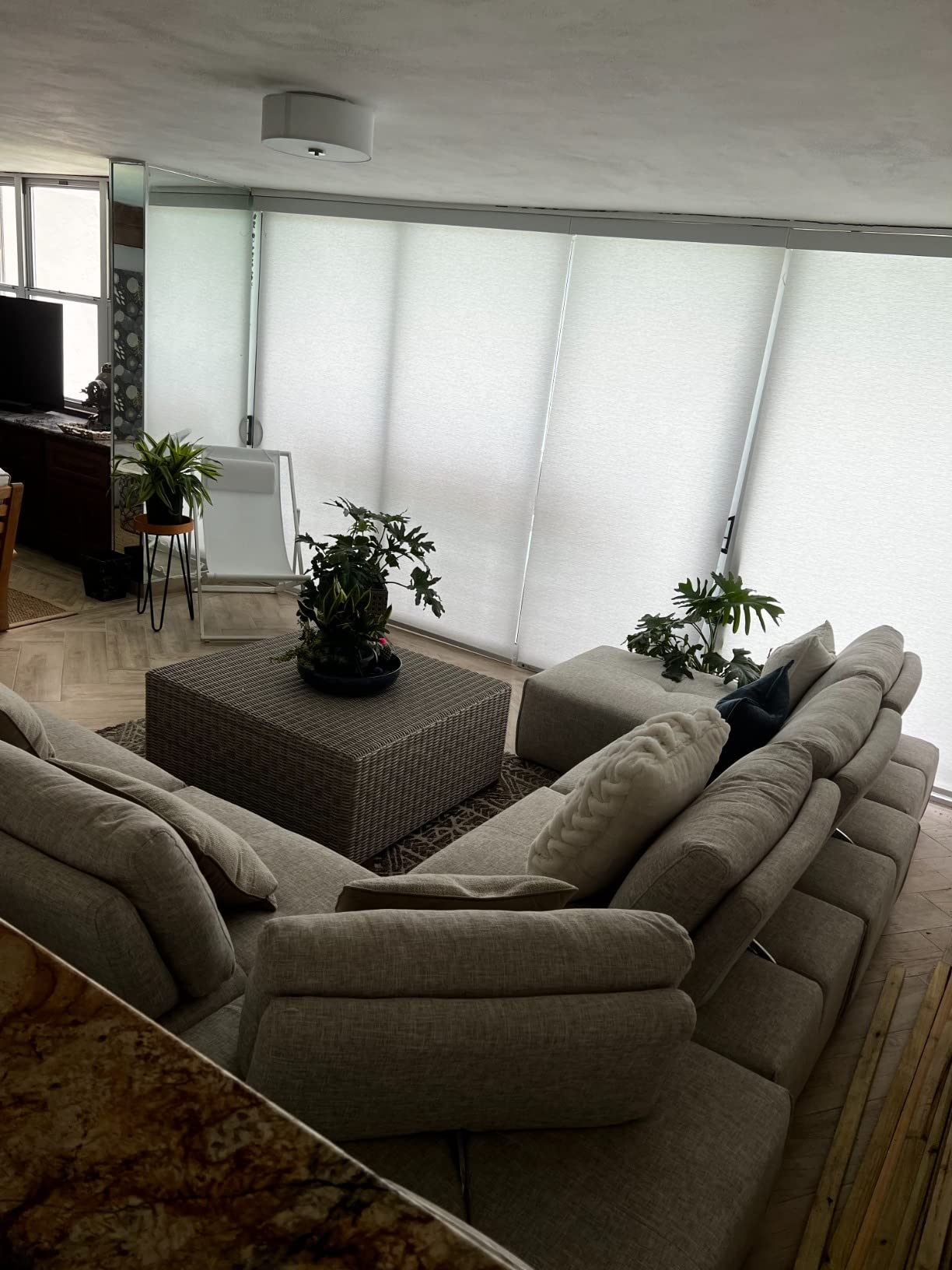 ZSTARR Motorized Blinds with Remote Blackout Smart Roller Blind Custom Size customer photo 1
