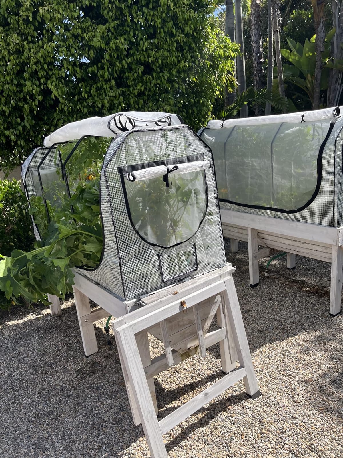VegTrug Greenhouse Frame & Multi-Cover Set for Classic Medium 1.8m Raised Bed, White - Durable Double Layer Micro Mesh Insect Protective Cover with Steel Frame for Extended Growing Season customer photo 1