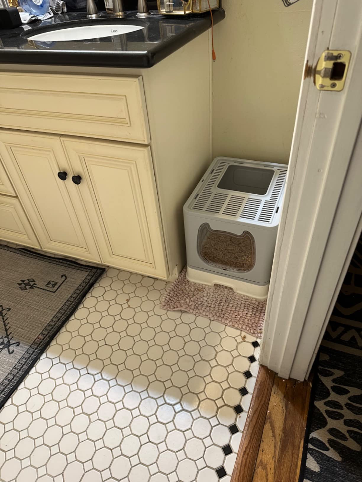 Cat Litter Box with Lid, Covered Top Entry Kitten Litter Pan for Small and Medium Cats, Anti-Splashing Kitty Potty with Slide-Out Litter Tray customer photo 1
