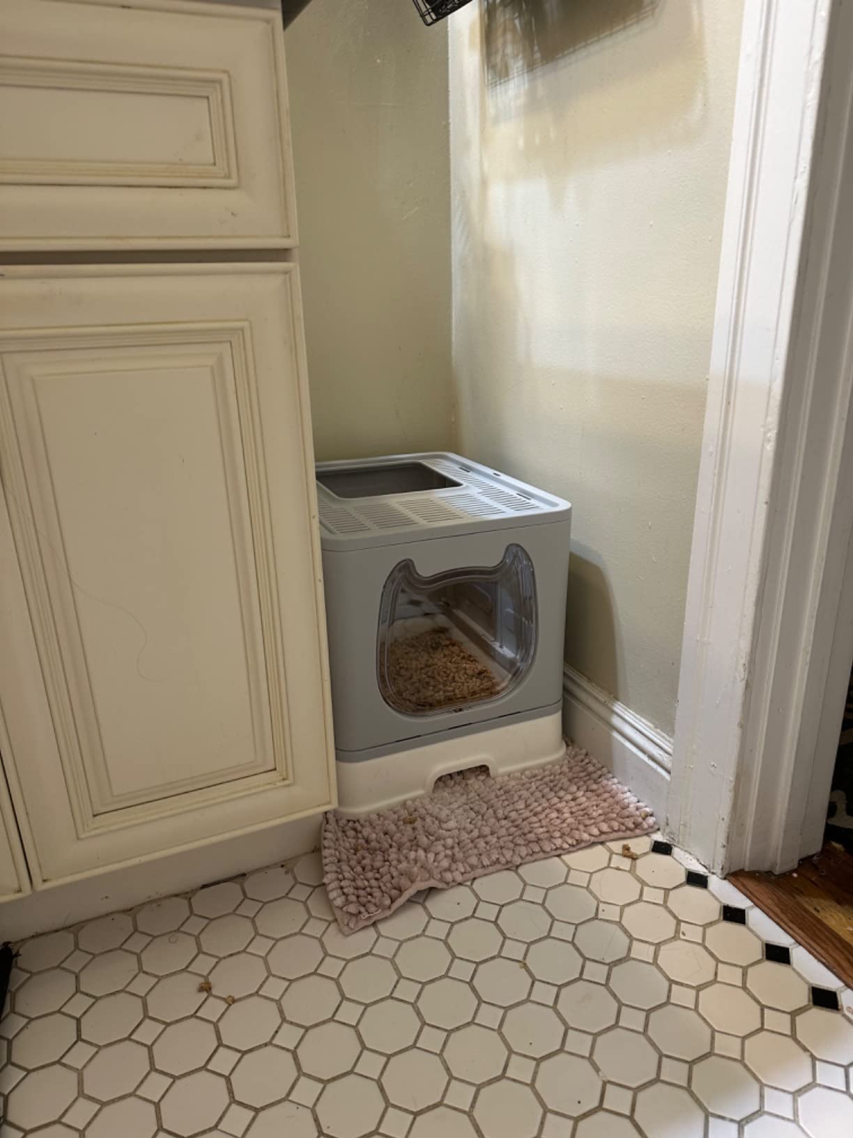 Cat Litter Box with Lid, Covered Top Entry Kitten Litter Pan for Small and Medium Cats, Anti-Splashing Kitty Potty with Slide-Out Litter Tray customer photo 2