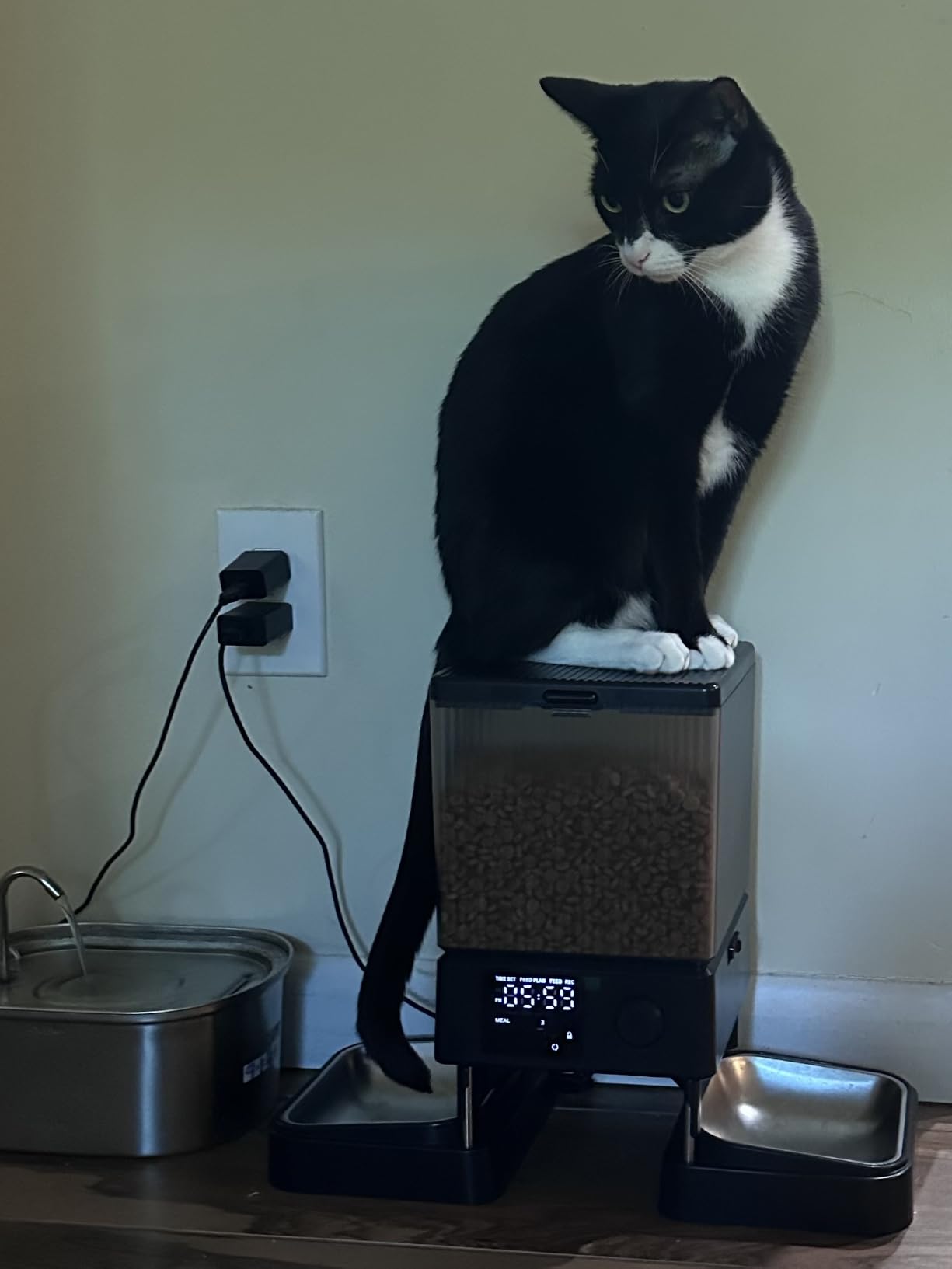 oneisall Automatic Cat Feeder for 2 Cats Pets, Timed Cat Food Dispenser customer photo 1