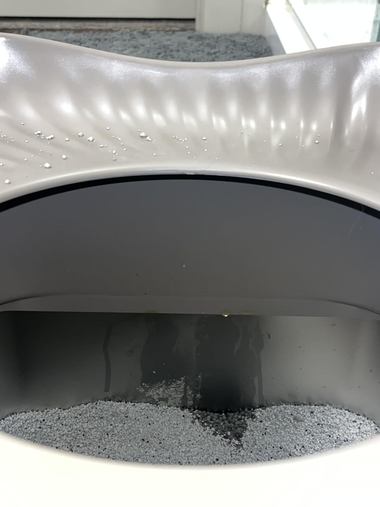 Stainless Steel Cat Litter Box, XL High Sided Open Top Litter Pan, 1 Scoop customer photo 2