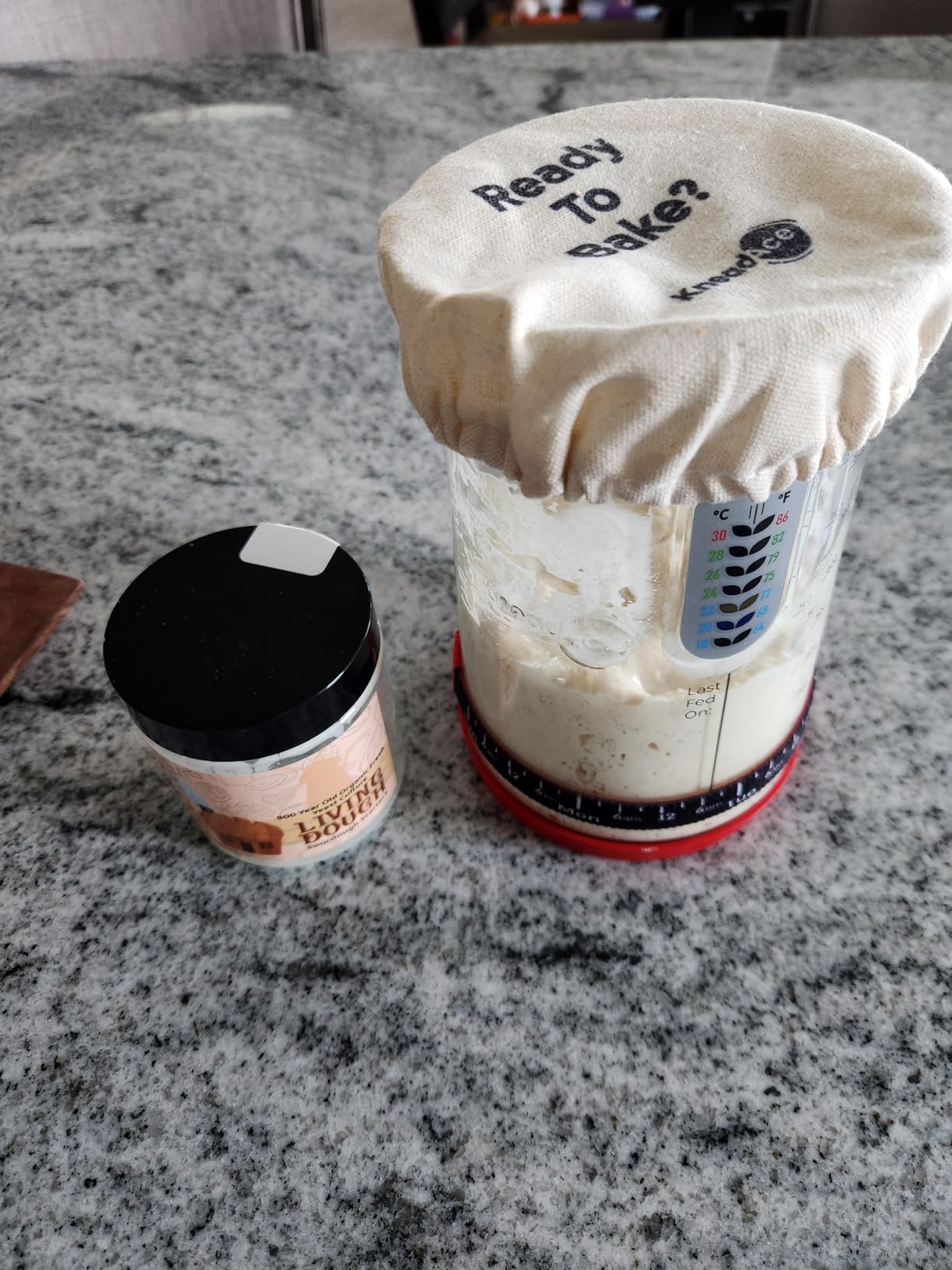 KNEADACE Pro Sourdough Bread Starter Kit - 34 oz Large Capacity Sourdough Starter Jar with 5 unique features for the perfect sour dough bread & sourdough starter kit - sourdough supplies (KA06) customer photo 1