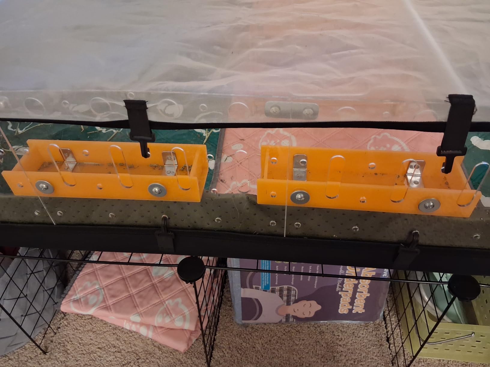 GuineaLoft™ Model-A Acrylic Guinea Pig Cage - Large 4x2ft Expandable C&C customer photo 2