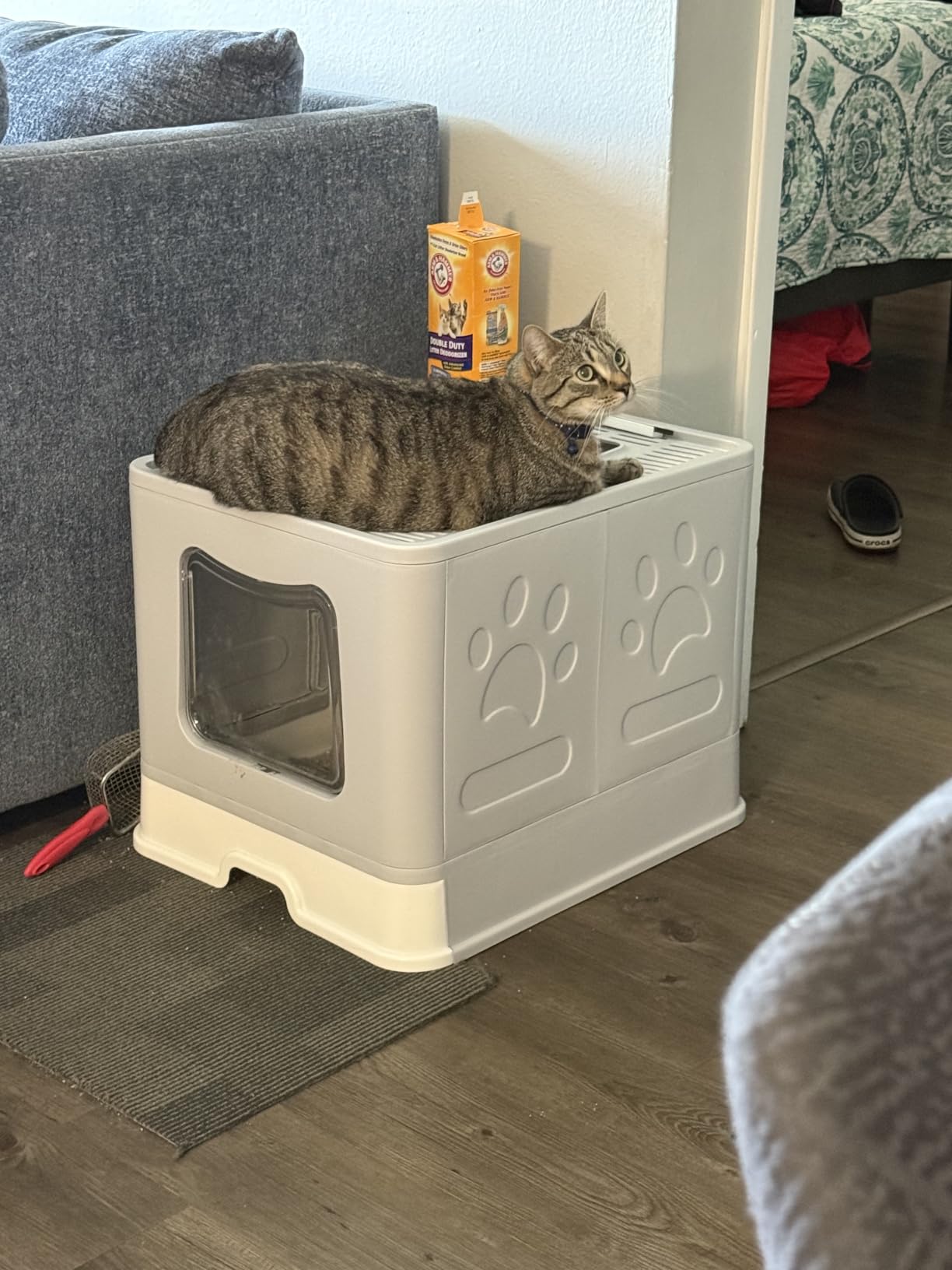 XL Foldable Cat Litter Box with Lid - Jumbo Enclosed Potty - Top Entry Anti-Splashing Toilet - Includes Scoop & 2-in-1 Cleaning Brush (Black) customer photo 1