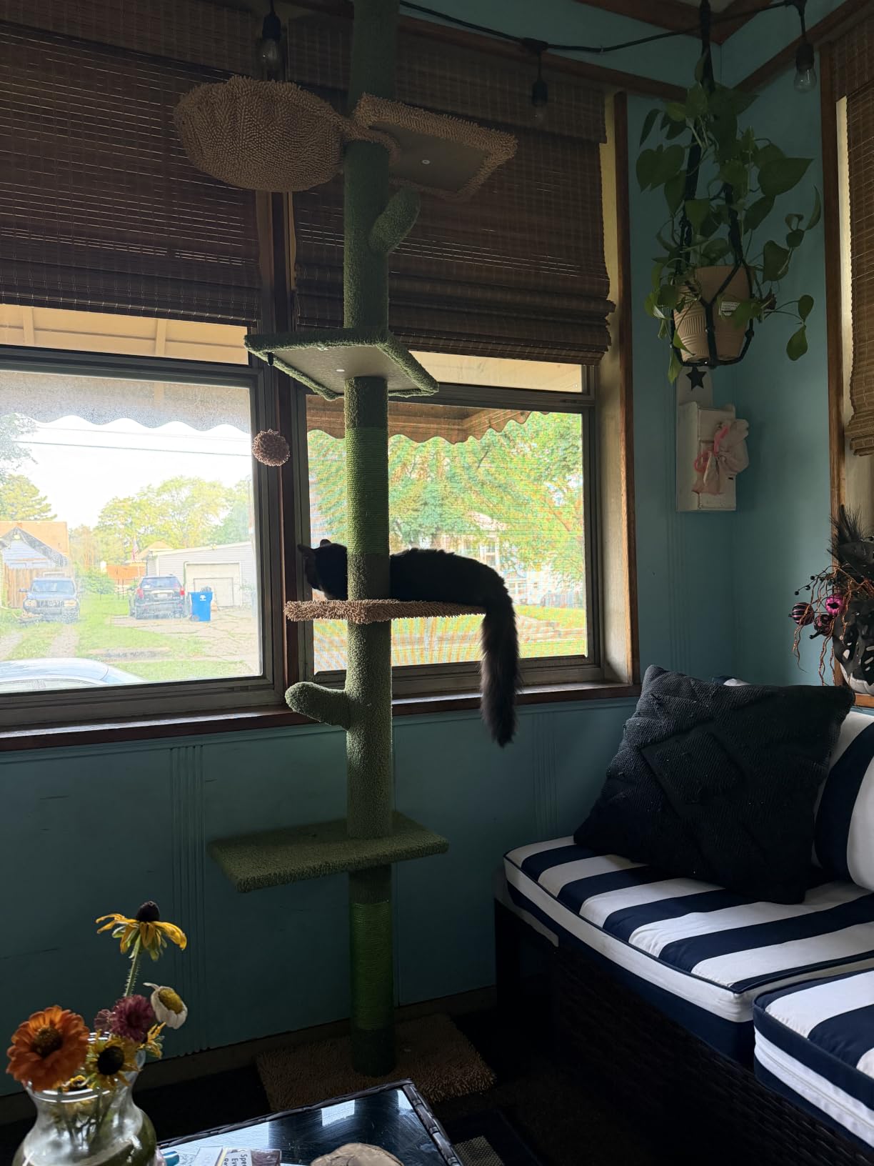 PAWZ Road Cactus Floor-to-Ceiling Cat Tree 5-Tier Cat Tower with Hammock customer photo 1