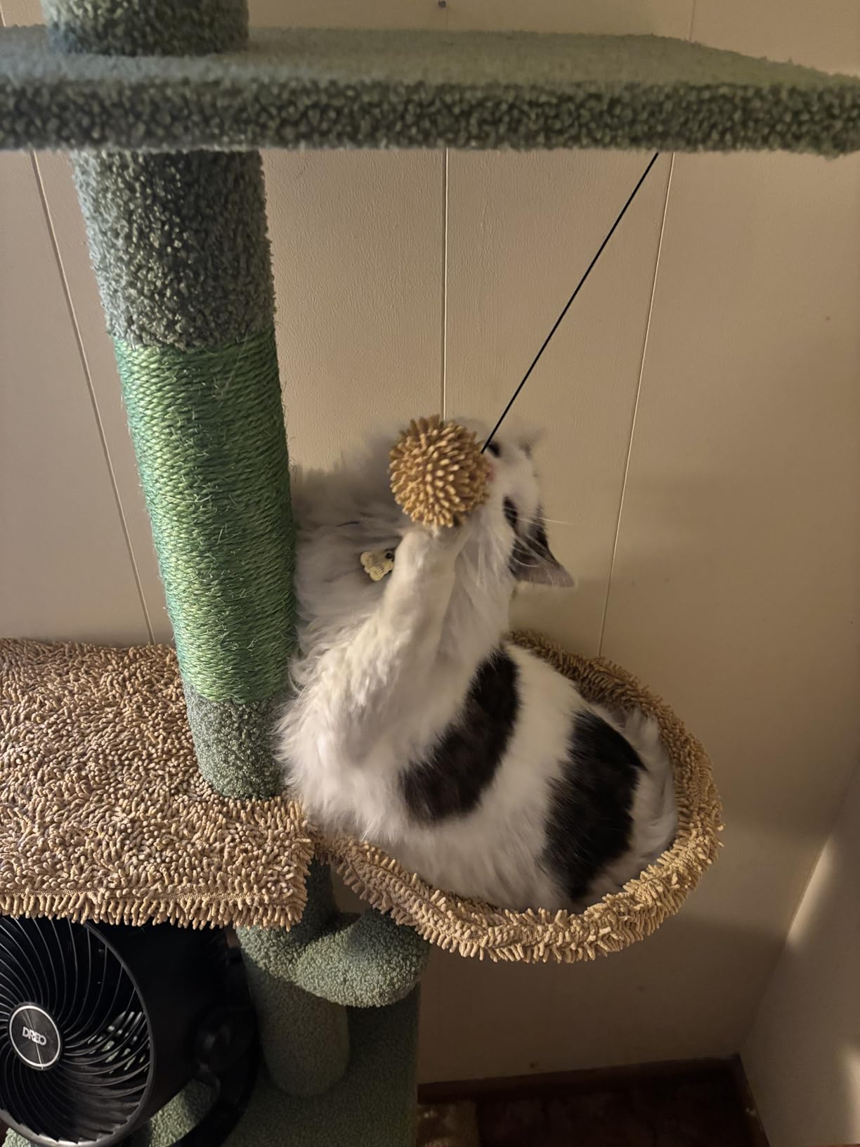 PAWZ Road Cactus Floor-to-Ceiling Cat Tree 5-Tier Cat Tower with Hammock customer photo 2